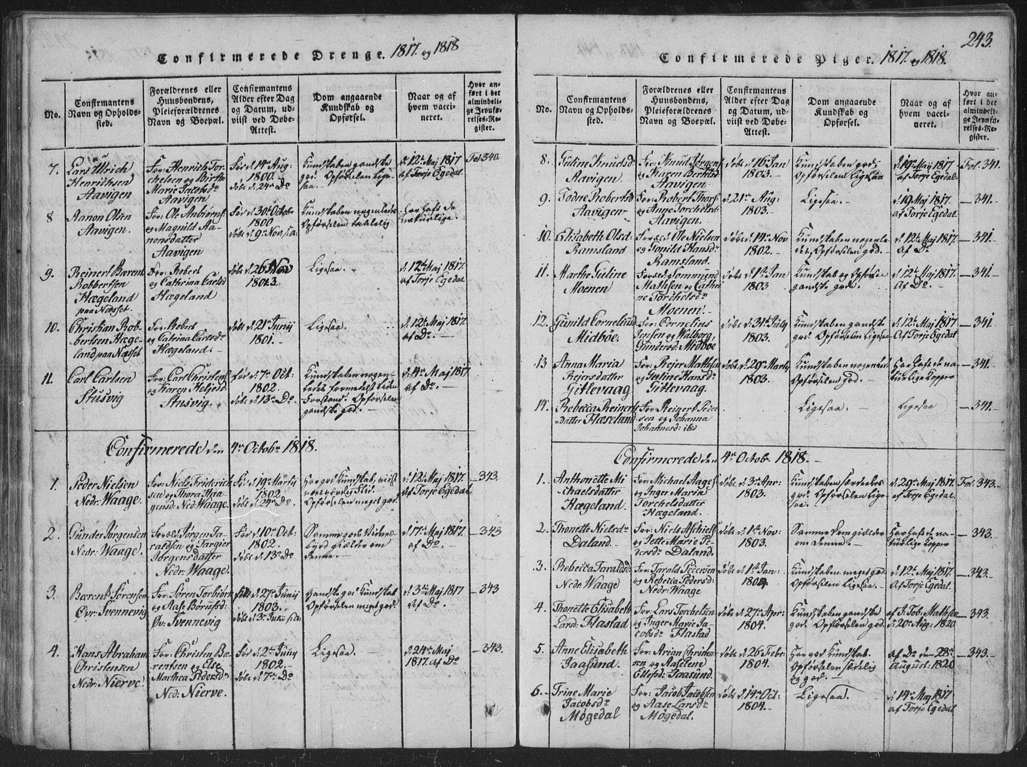 Sør-Audnedal sokneprestkontor, SAK/1111-0039/F/Fa/Faa/L0001: Parish register (official) no. A 1, 1816-1848, p. 243
