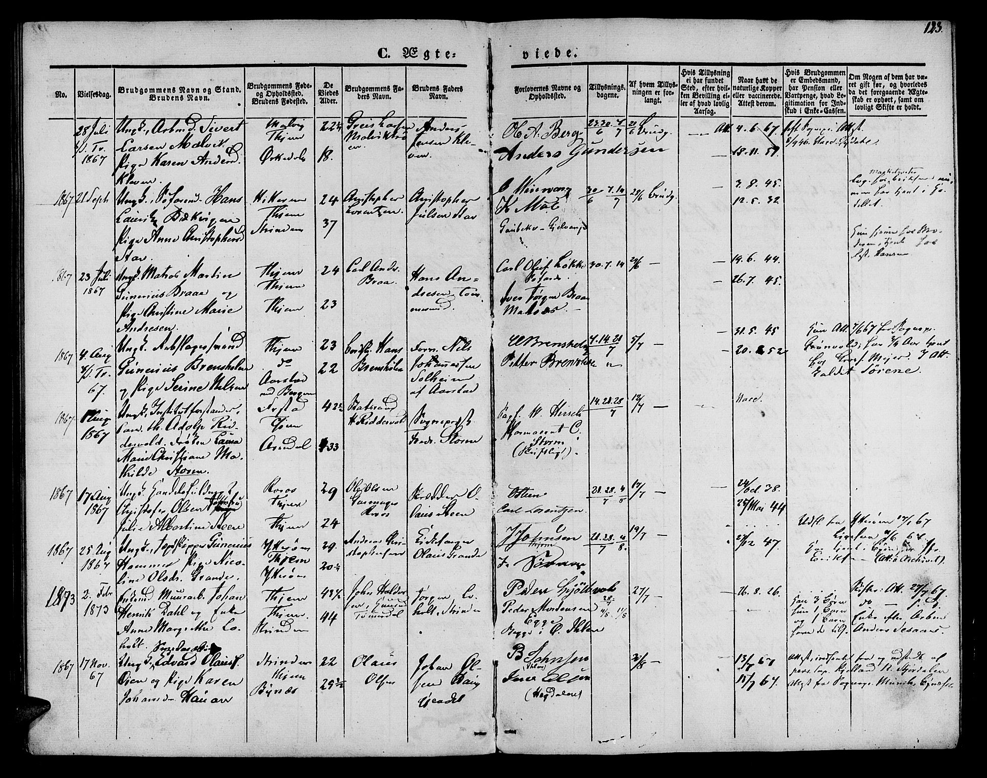 Ministerialprotokoller, klokkerbøker og fødselsregistre - Sør-Trøndelag, AV/SAT-A-1456/602/L0111: Parish register (official) no. 602A09, 1844-1867, p. 123