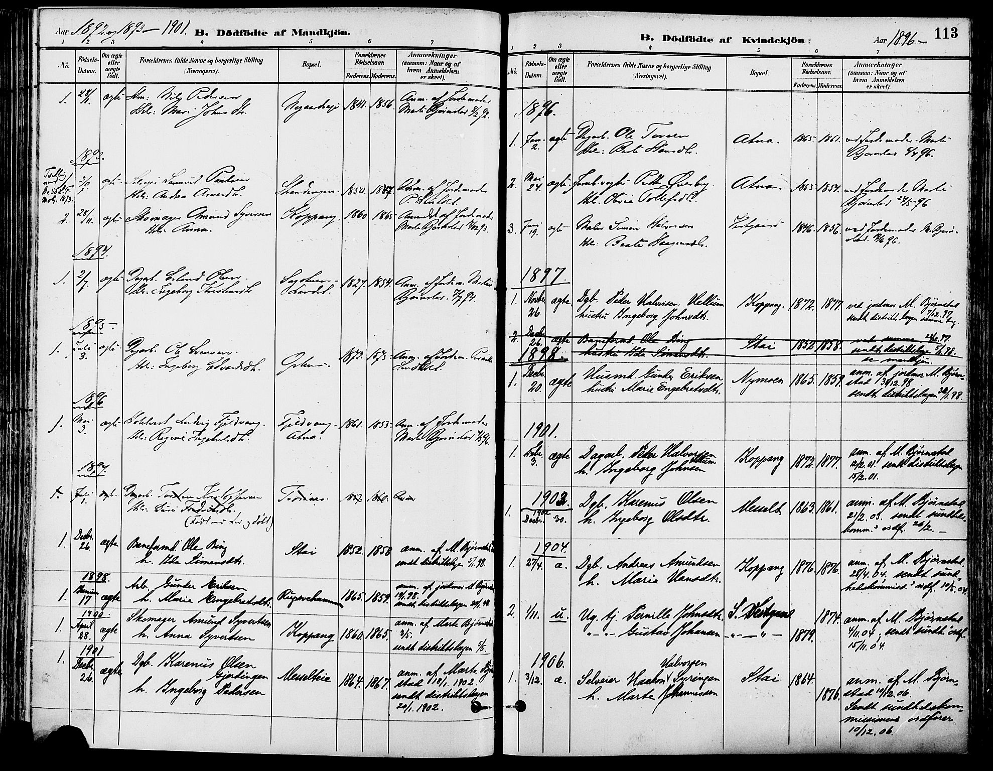 Stor-Elvdal prestekontor, SAH/PREST-052/H/Ha/Haa/L0002: Parish register (official) no. 2, 1882-1907, p. 113