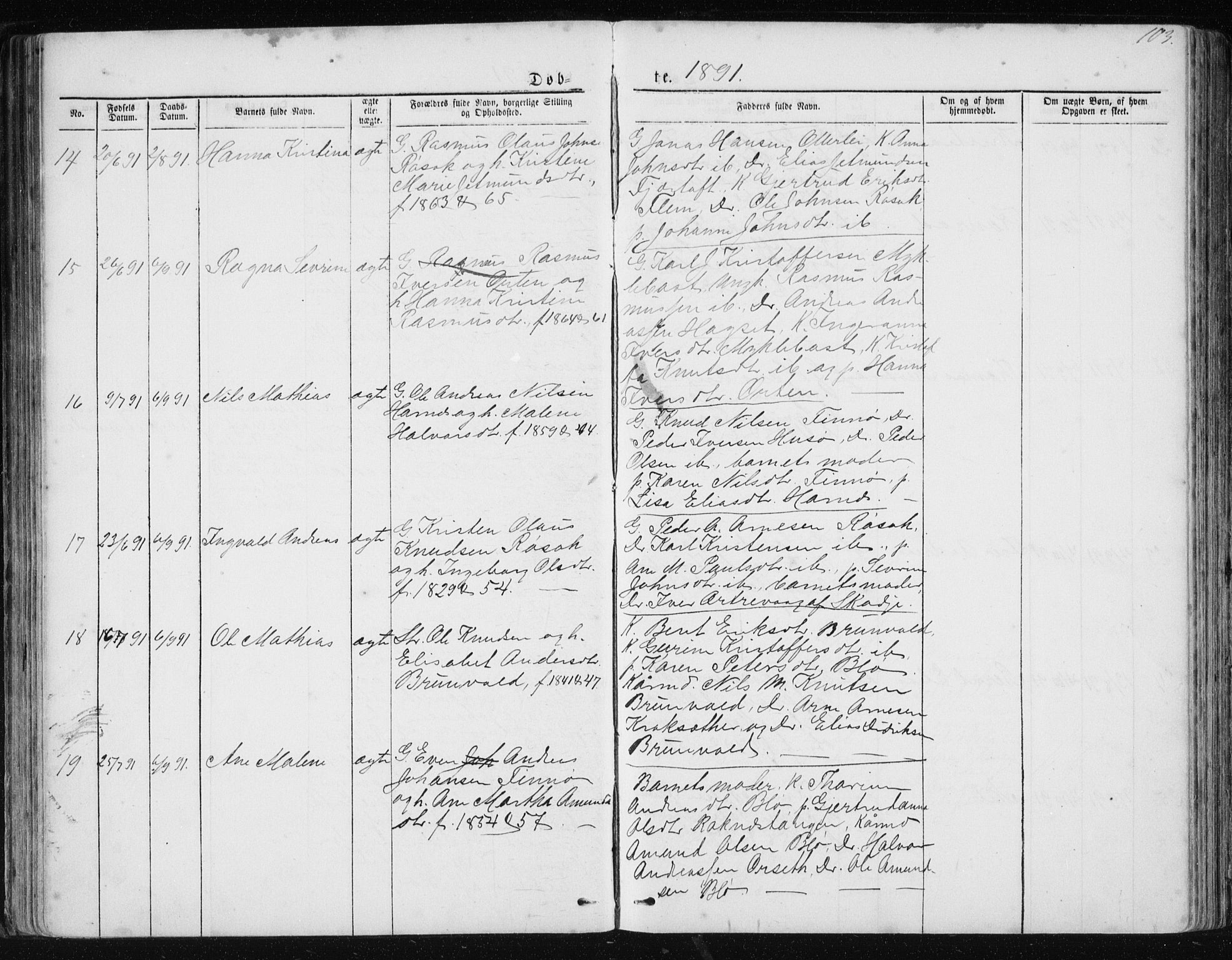 Ministerialprotokoller, klokkerbøker og fødselsregistre - Møre og Romsdal, AV/SAT-A-1454/561/L0732: Parish register (copy) no. 561C02, 1867-1900, p. 103