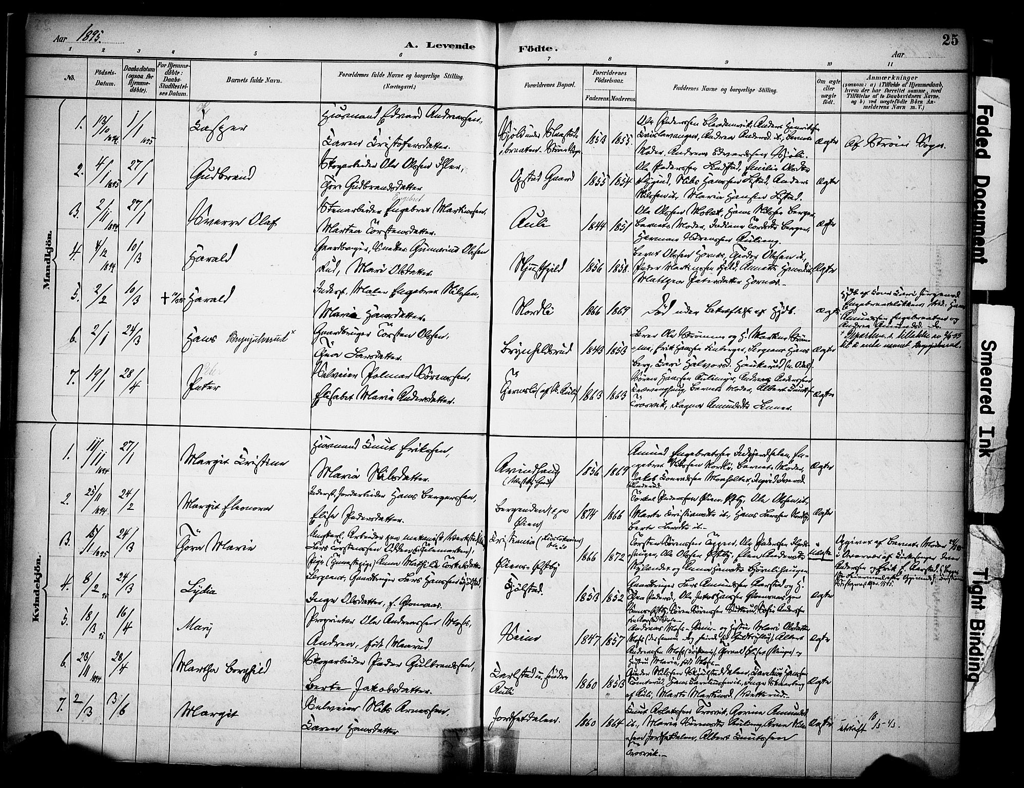 Sør-Odal prestekontor, AV/SAH-PREST-030/H/Ha/Haa/L0009: Parish register (official) no. 9, 1886-1926, p. 25