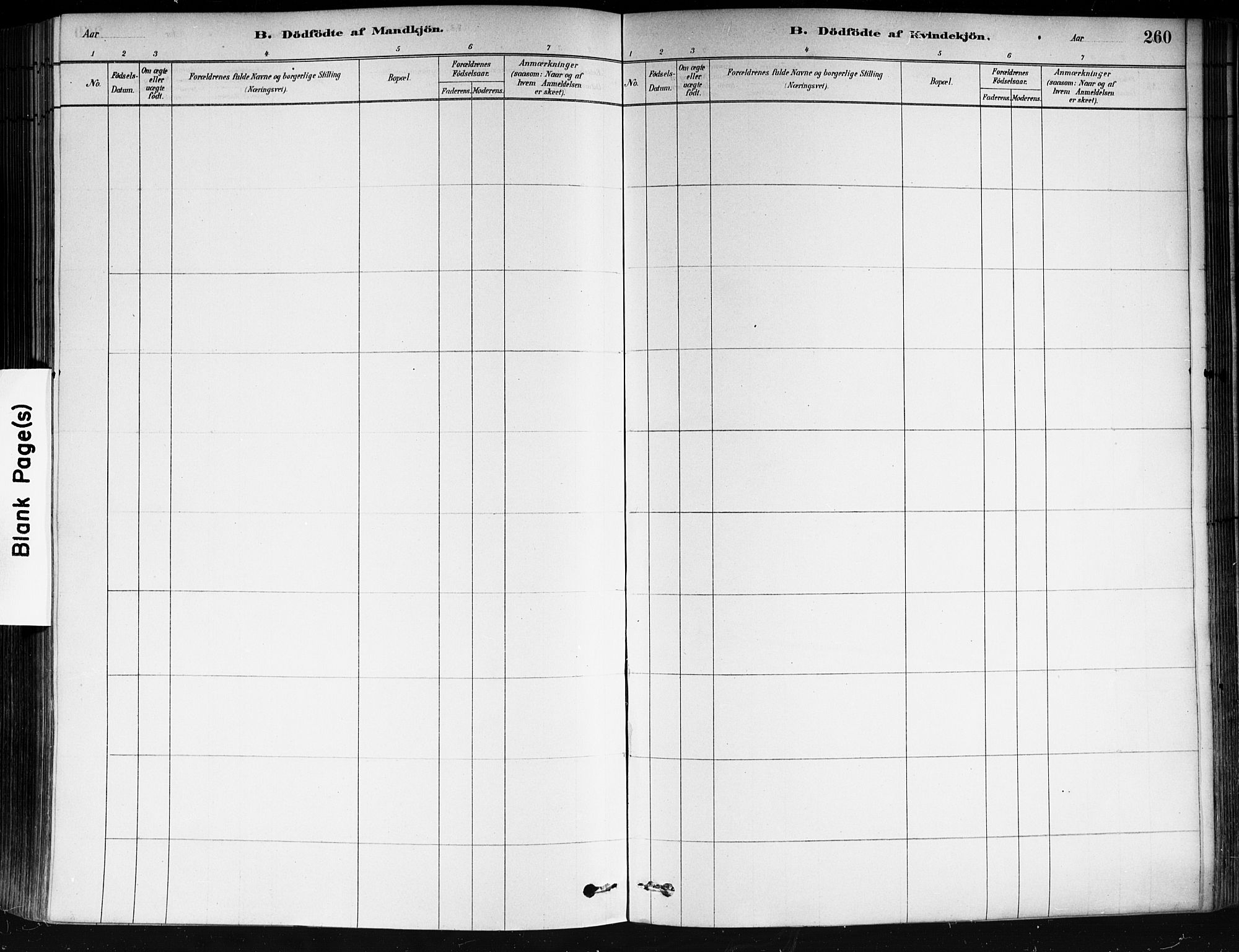 Strømsø kirkebøker, AV/SAKO-A-246/F/Fa/L0021: Parish register (official) no. I 21, 1878-1885, p. 260