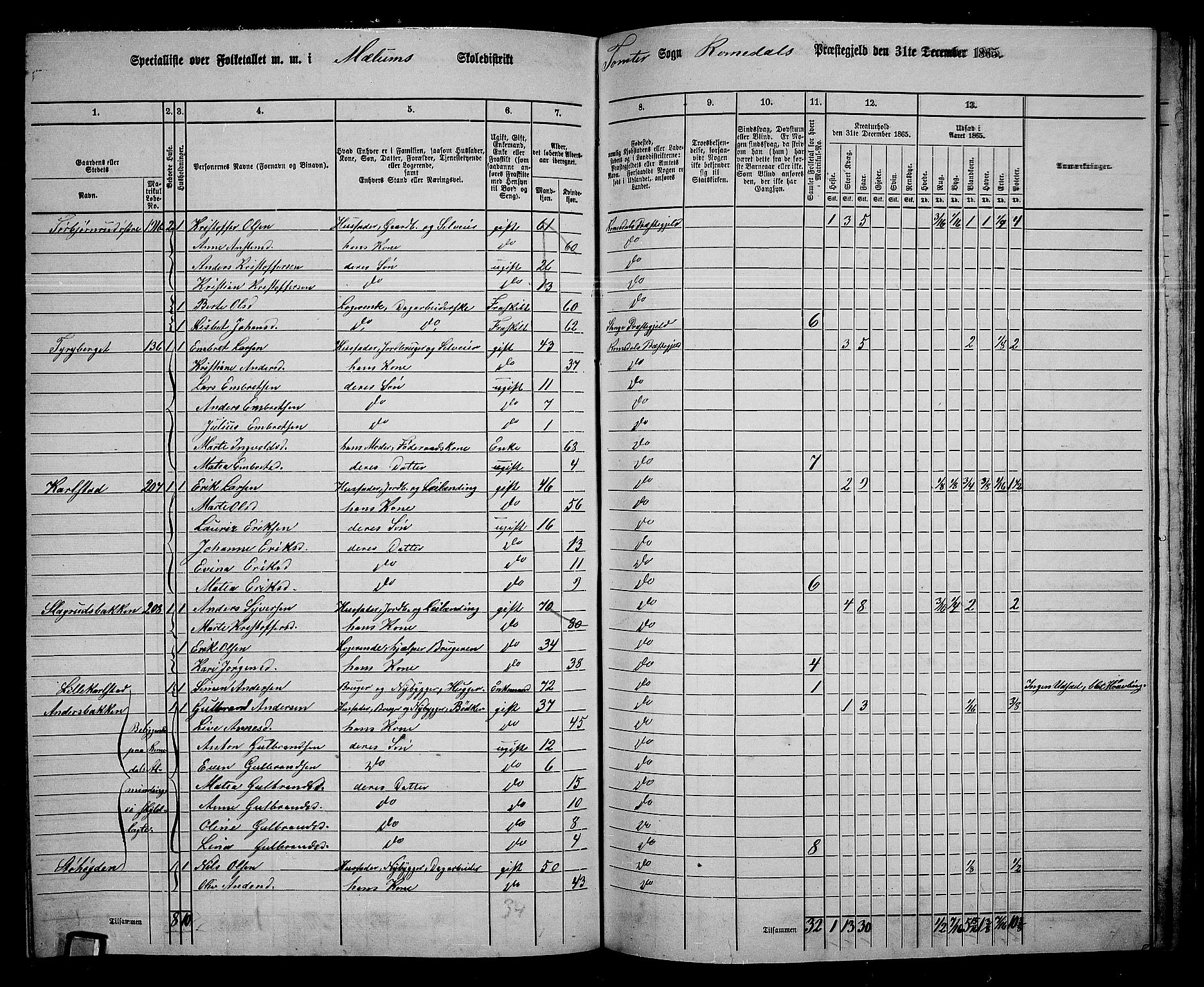 RA, 1865 census for Romedal, 1865, p. 161