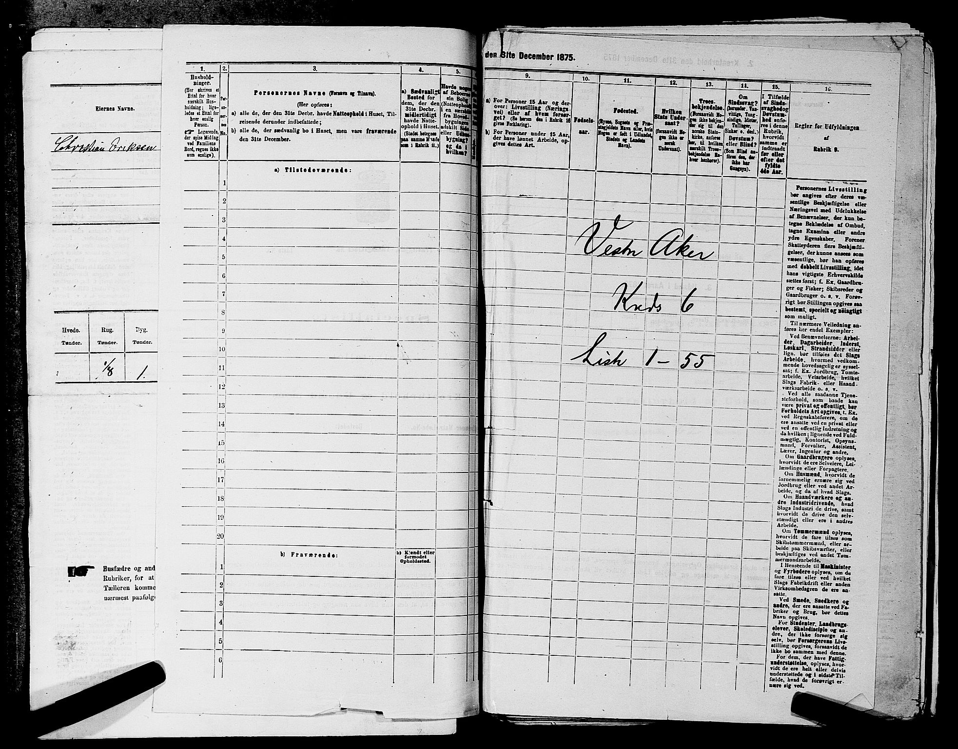 RA, 1875 census for 0218aP Vestre Aker, 1875, p. 1019