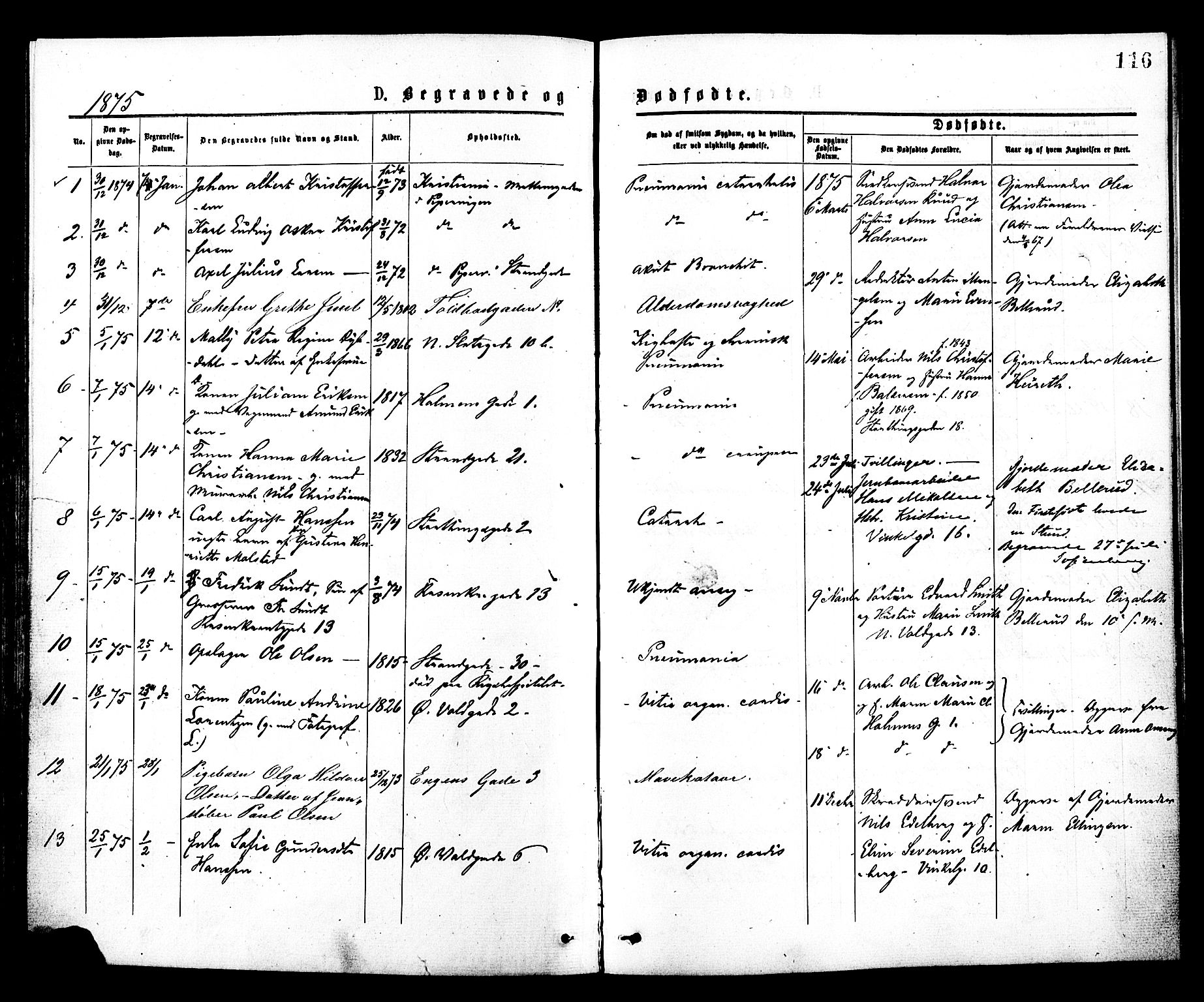 Johannes prestekontor Kirkebøker, SAO/A-10852/F/Fa/L0002: Parish register (official) no. 2, 1875-1882, p. 116