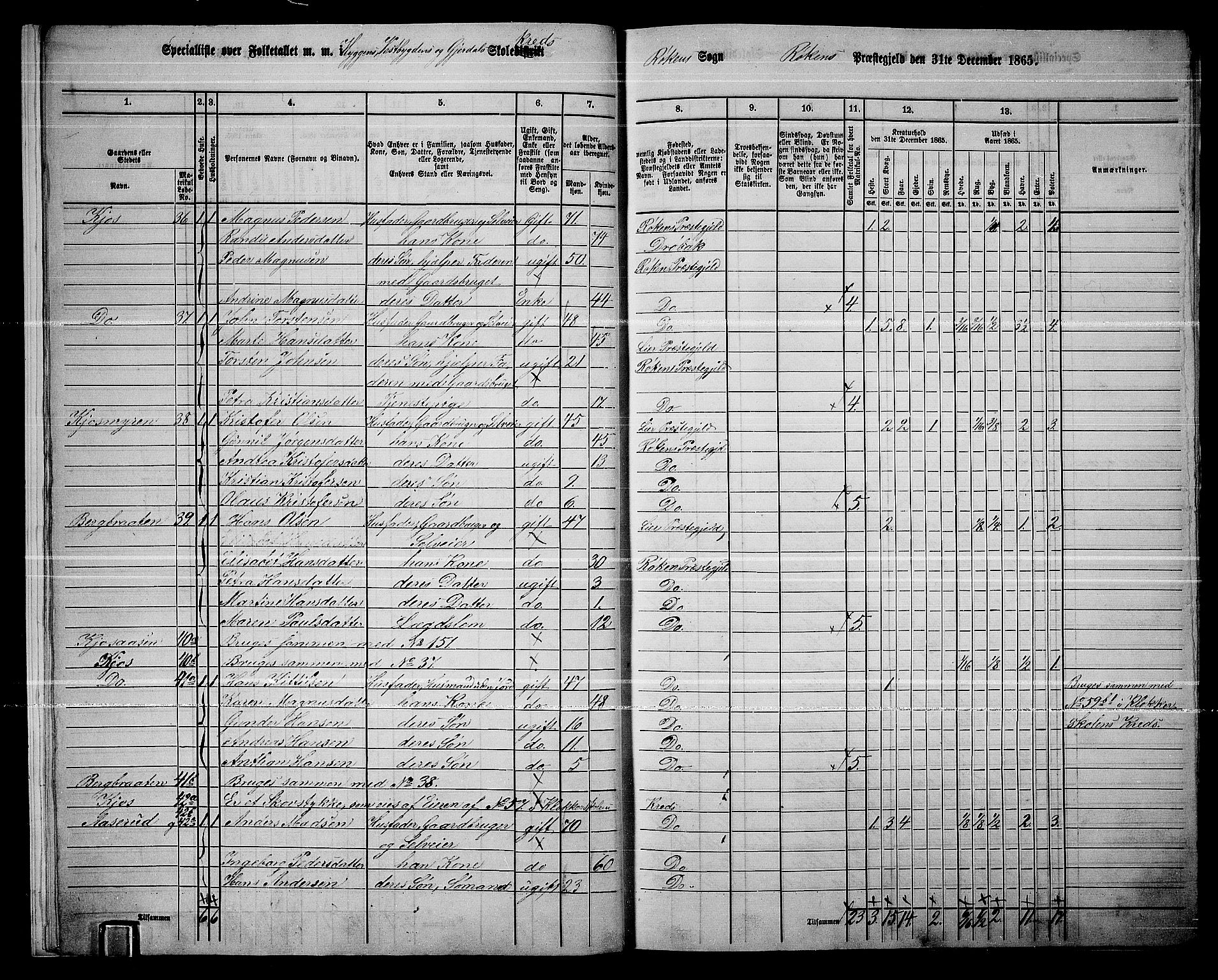 RA, 1865 census for Røyken, 1865, p. 12