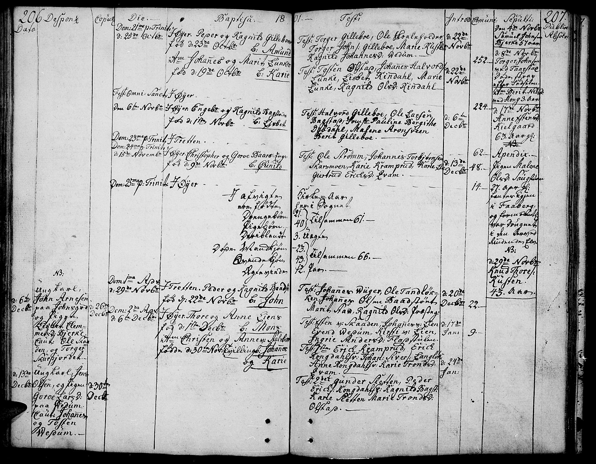 Øyer prestekontor, SAH/PREST-084/H/Ha/Haa/L0003: Parish register (official) no. 3, 1784-1824, p. 206-207