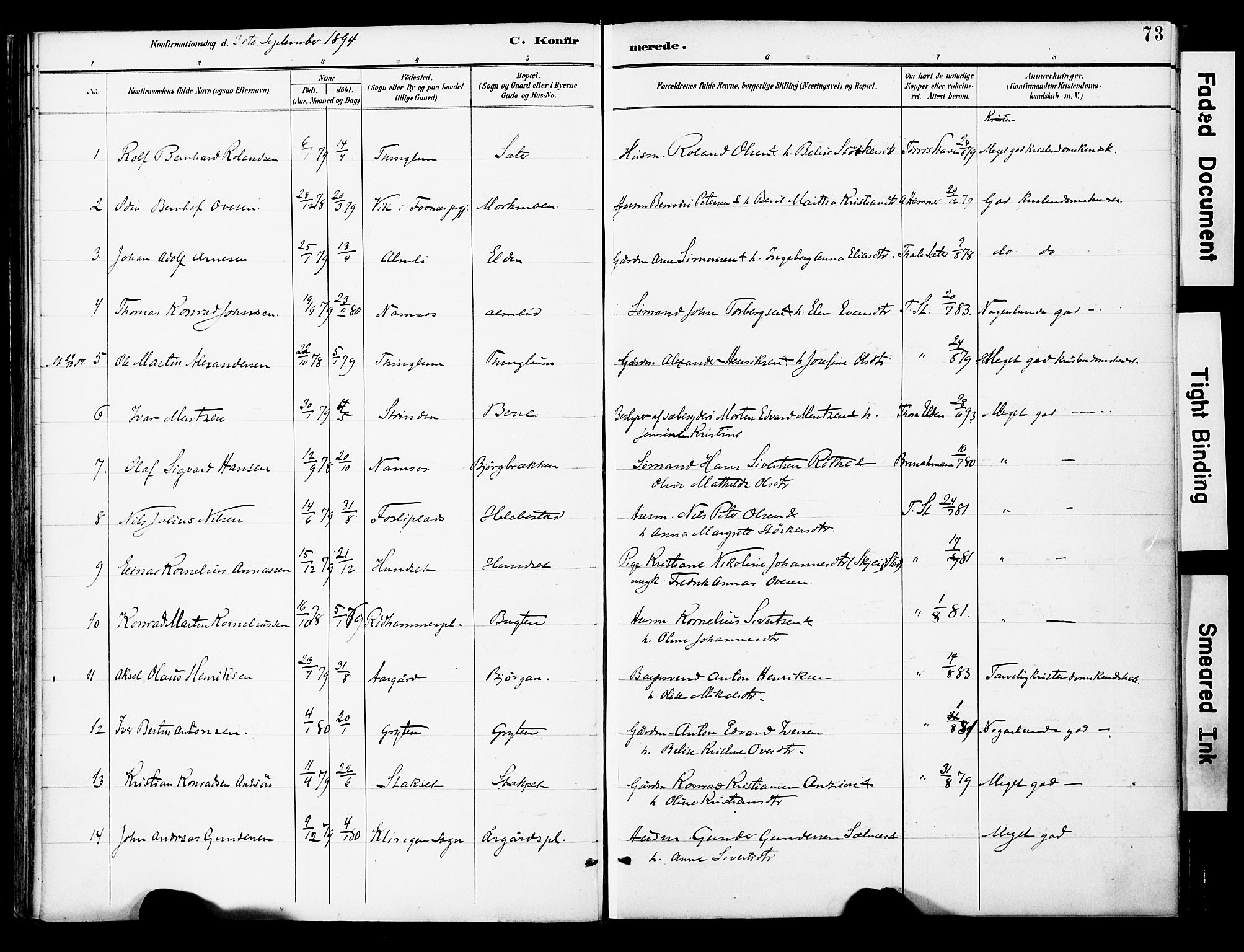 Ministerialprotokoller, klokkerbøker og fødselsregistre - Nord-Trøndelag, AV/SAT-A-1458/742/L0409: Parish register (official) no. 742A02, 1891-1905, p. 73