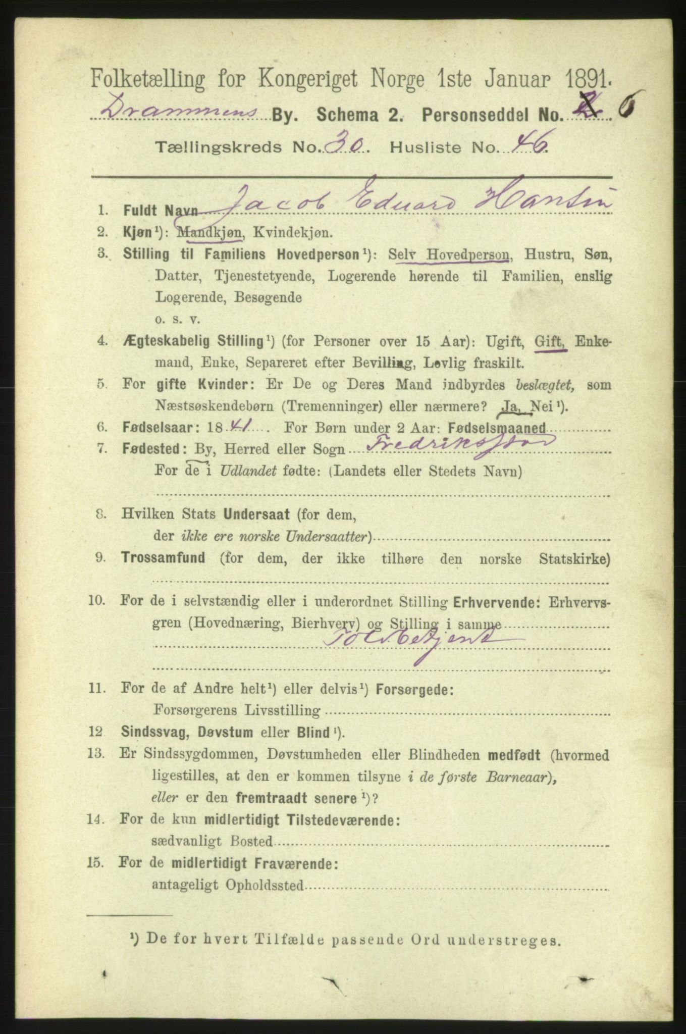 RA, 1891 census for 0602 Drammen, 1891, p. 18699