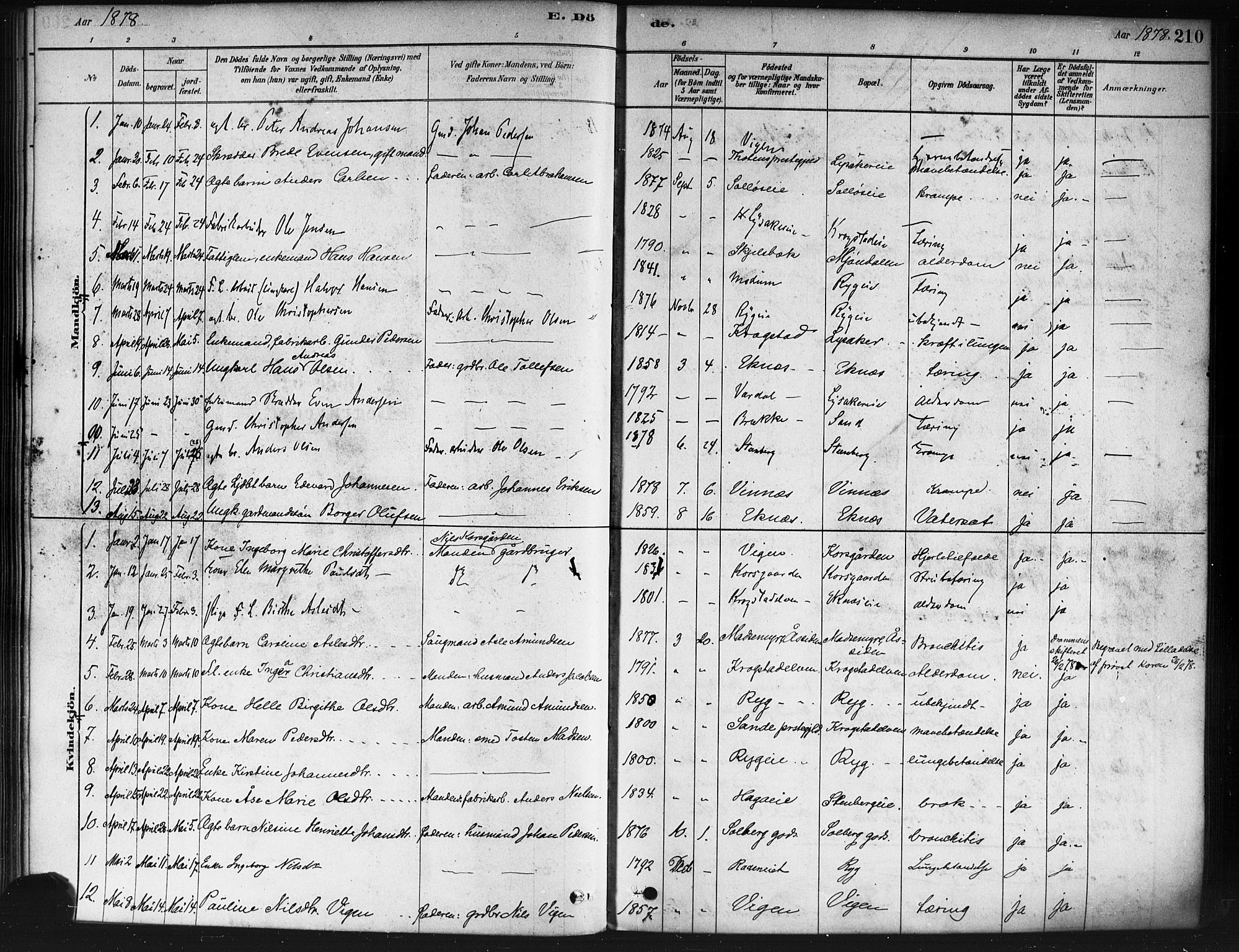 Nedre Eiker kirkebøker, SAKO/A-612/F/Fa/L0002: Parish register (official) no. 2, 1878-1885, p. 210