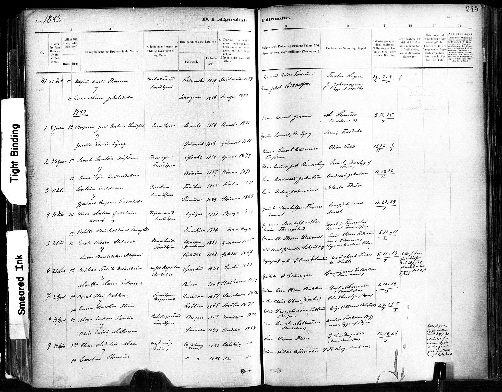 Ministerialprotokoller, klokkerbøker og fødselsregistre - Sør-Trøndelag, SAT/A-1456/602/L0119: Parish register (official) no. 602A17, 1880-1901, p. 245