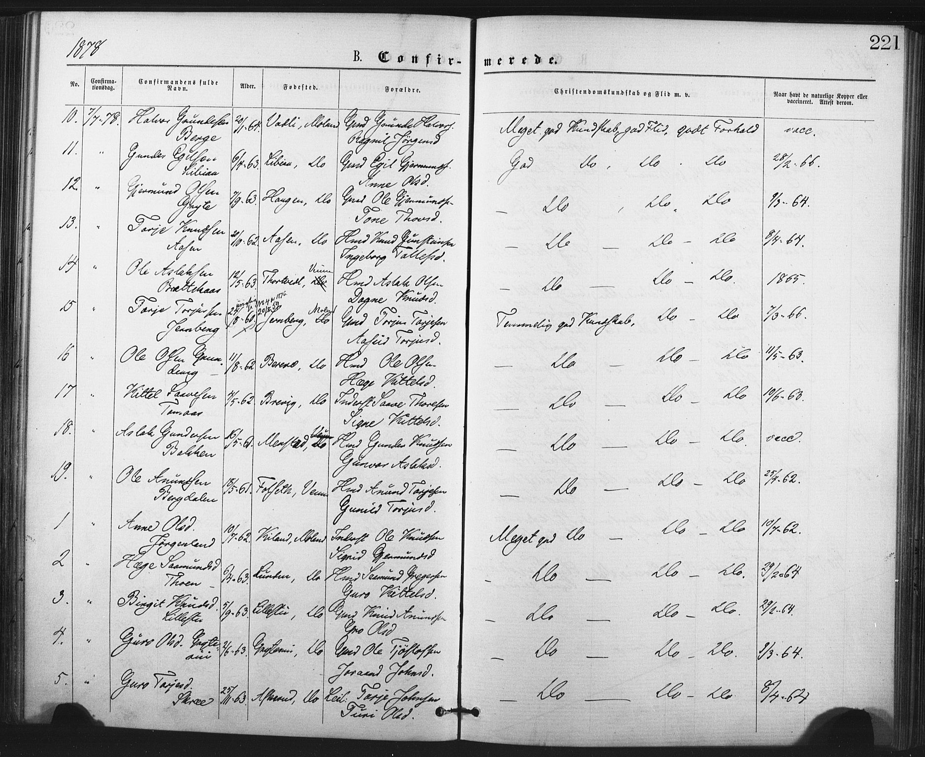 Fyresdal kirkebøker, SAKO/A-263/F/Fa/L0006: Parish register (official) no. I 6, 1872-1886, p. 221