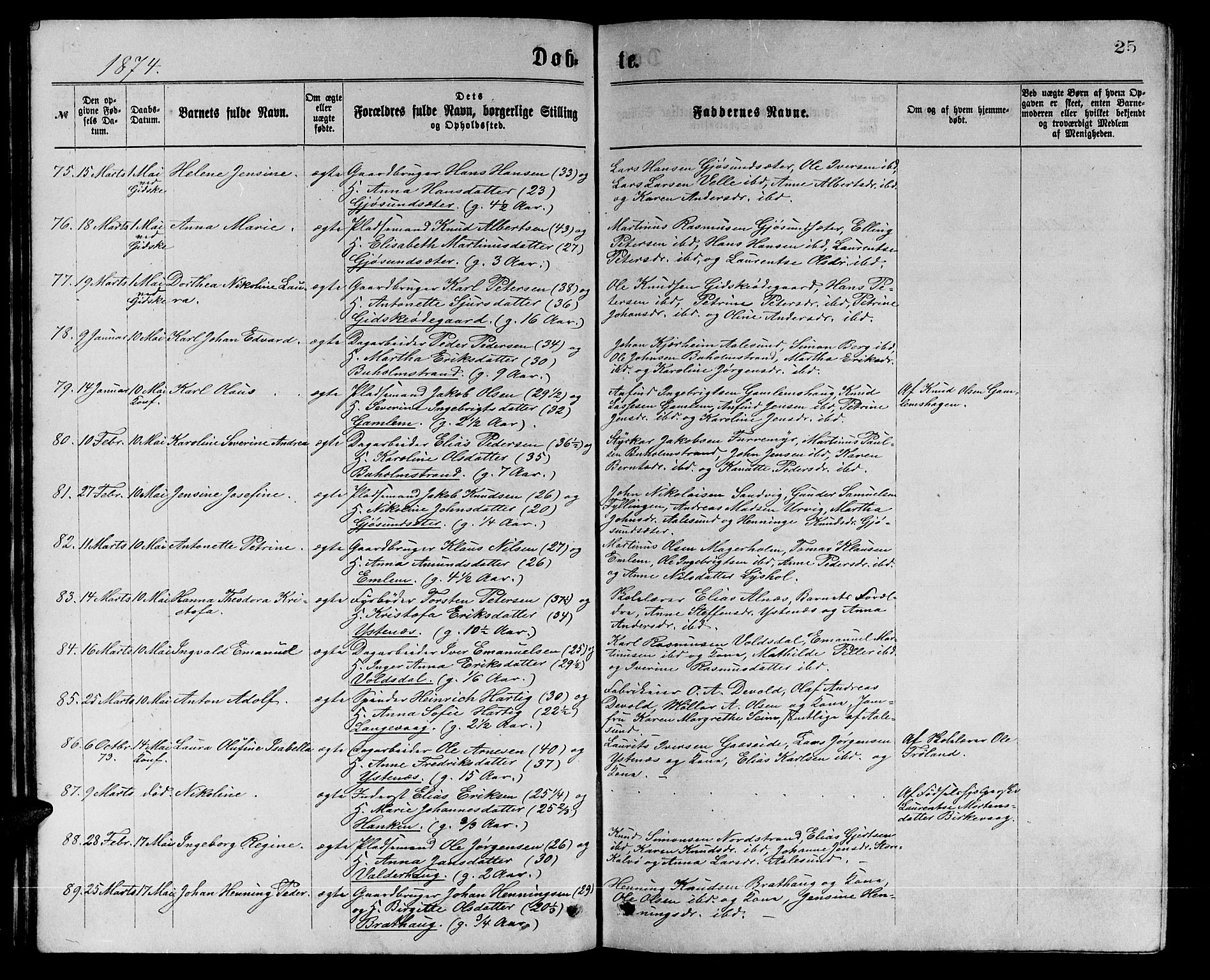 Ministerialprotokoller, klokkerbøker og fødselsregistre - Møre og Romsdal, AV/SAT-A-1454/528/L0429: Parish register (copy) no. 528C10, 1872-1886, p. 25