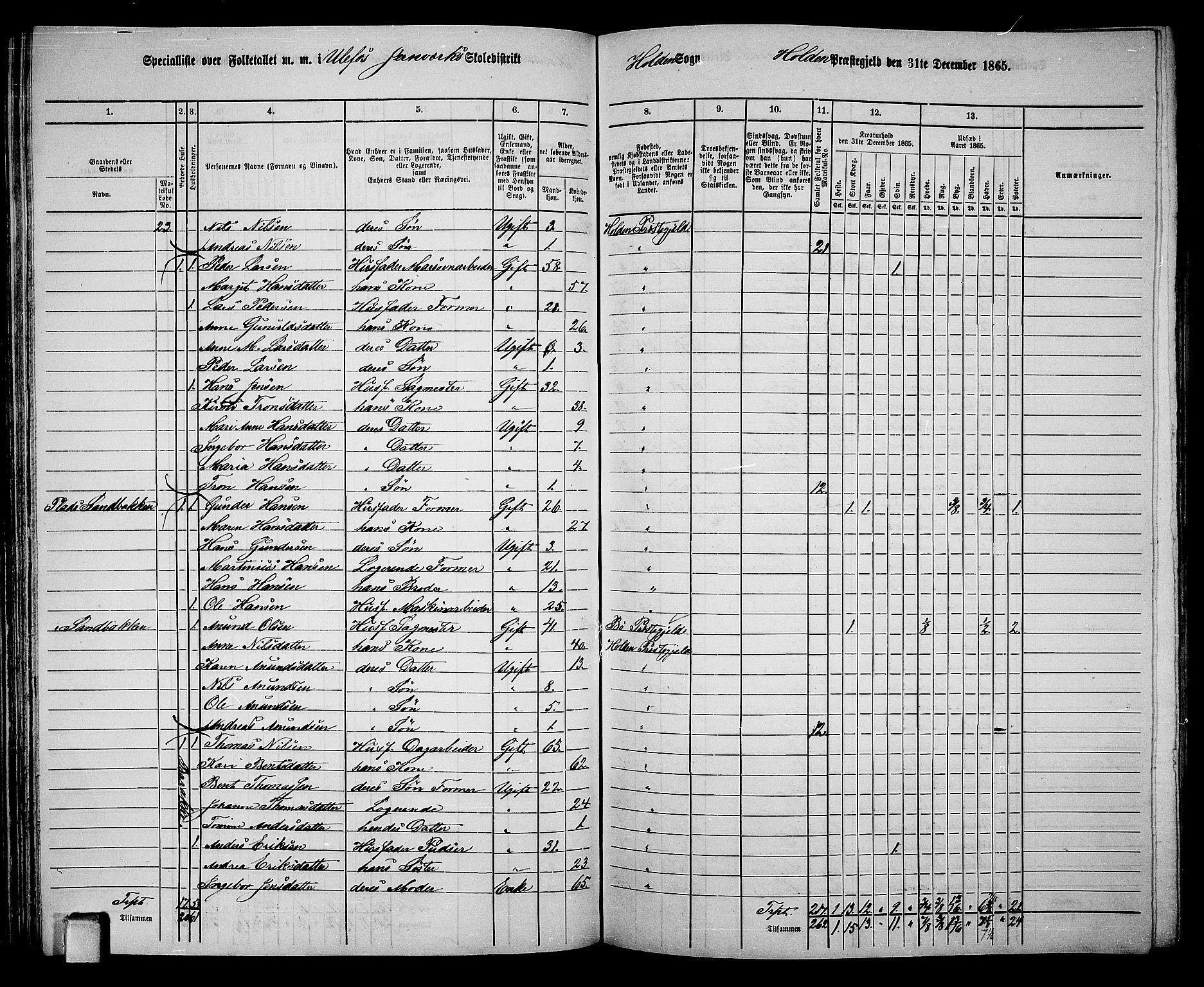 RA, 1865 census for Holla, 1865, p. 55