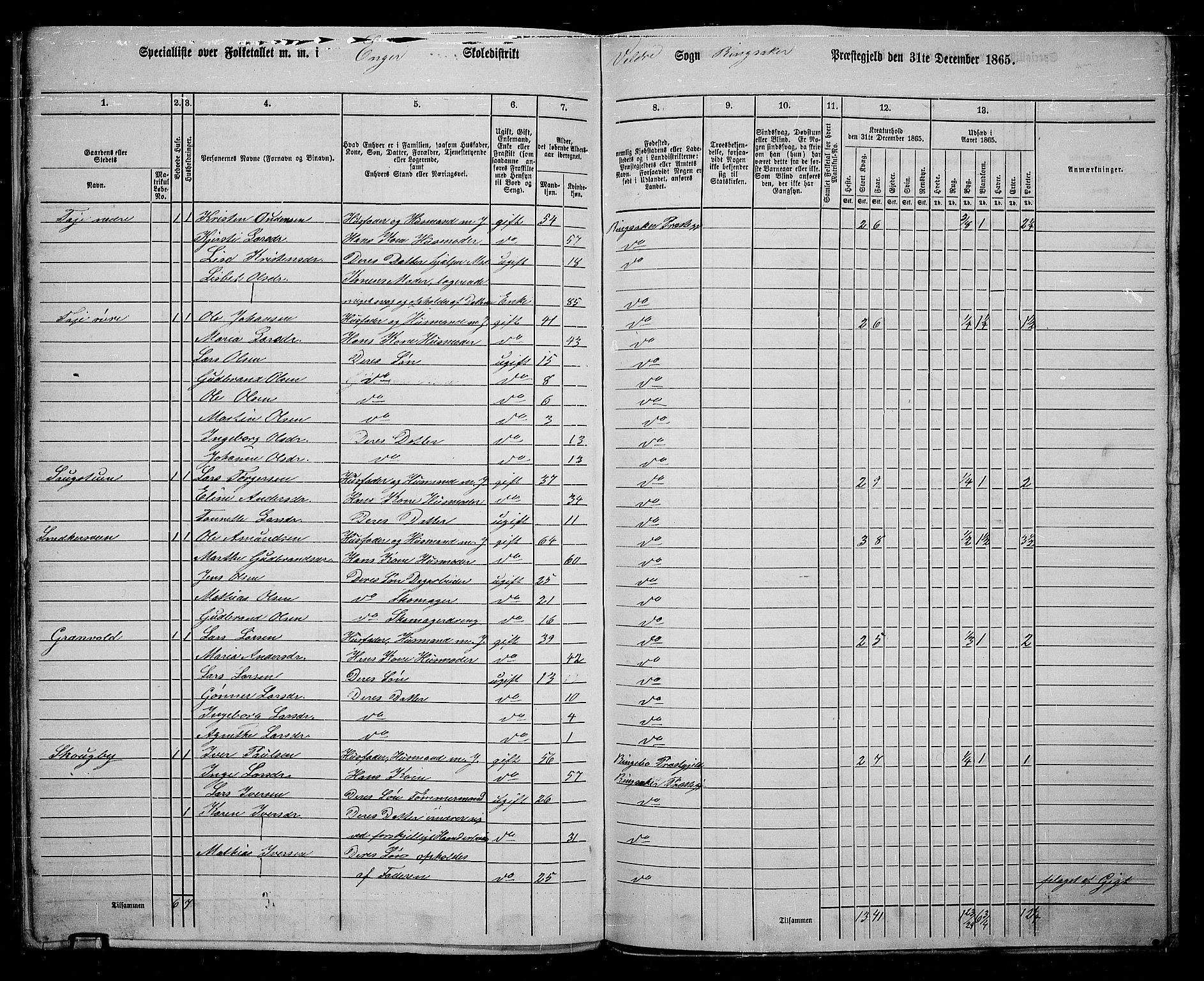 RA, 1865 census for Ringsaker, 1865, p. 233