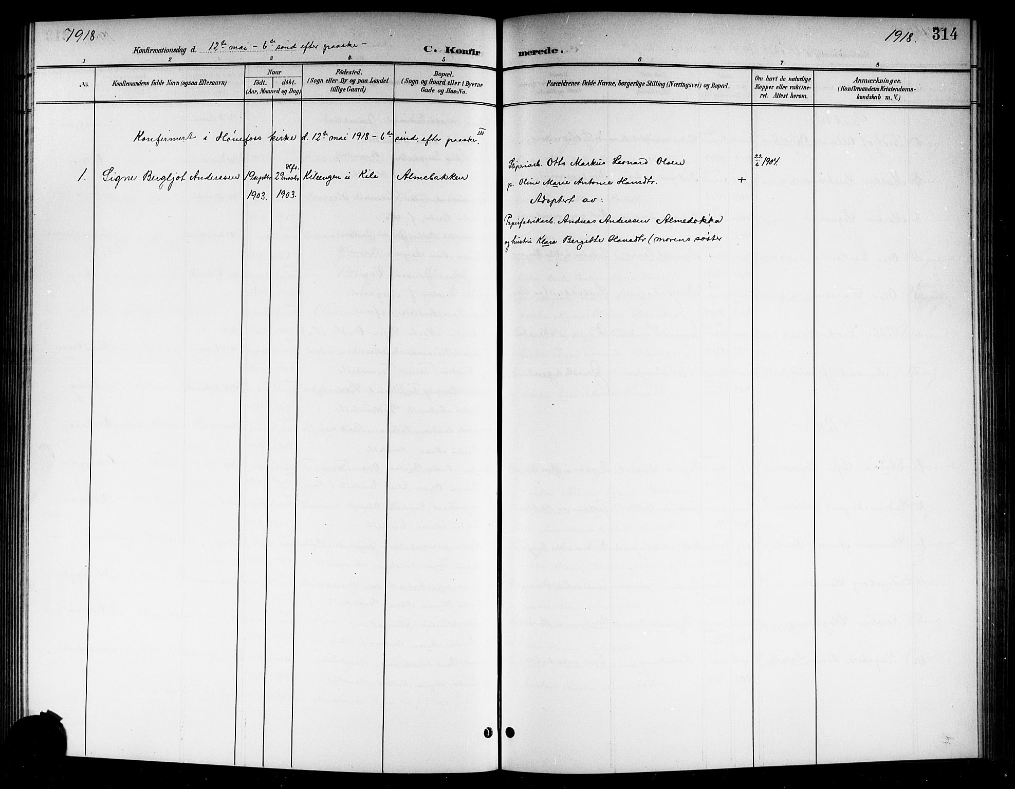 Norderhov kirkebøker, AV/SAKO-A-237/G/Gb/L0002: Parish register (copy) no. II 2, 1891-1921, p. 314