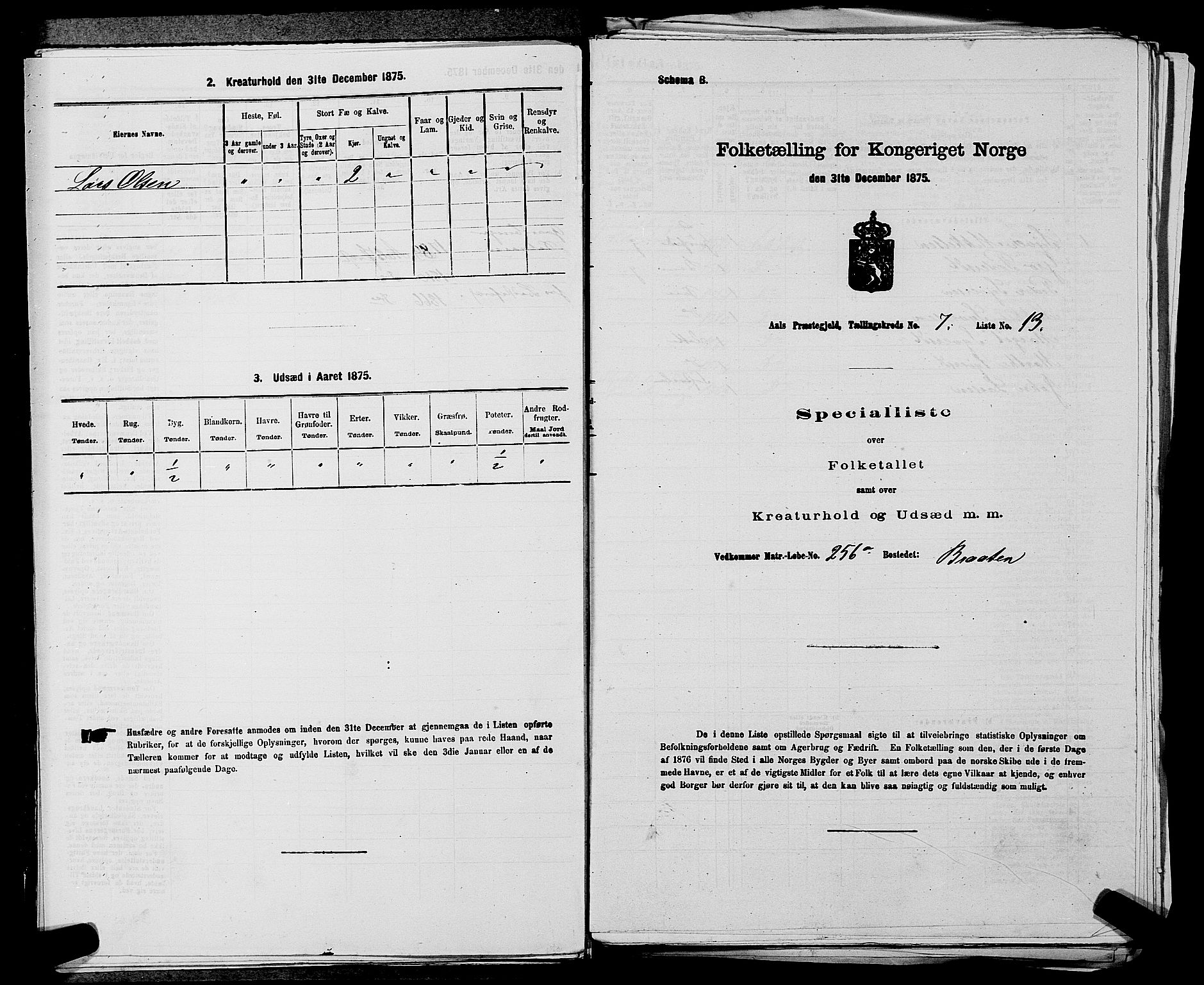SAKO, 1875 census for 0619P Ål, 1875, p. 860