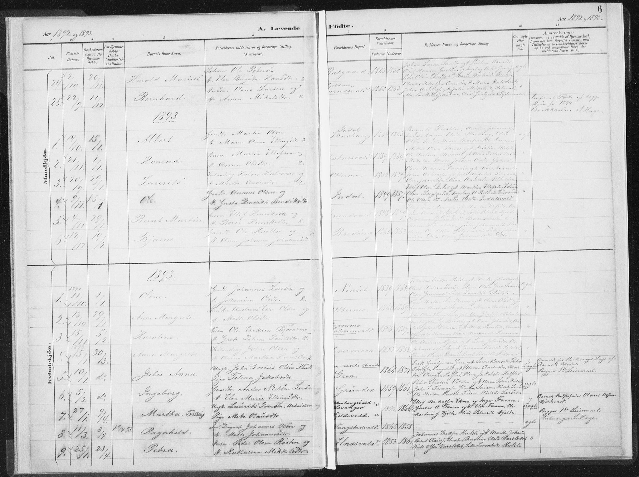Ministerialprotokoller, klokkerbøker og fødselsregistre - Nord-Trøndelag, SAT/A-1458/724/L0263: Parish register (official) no. 724A01, 1891-1907, p. 6
