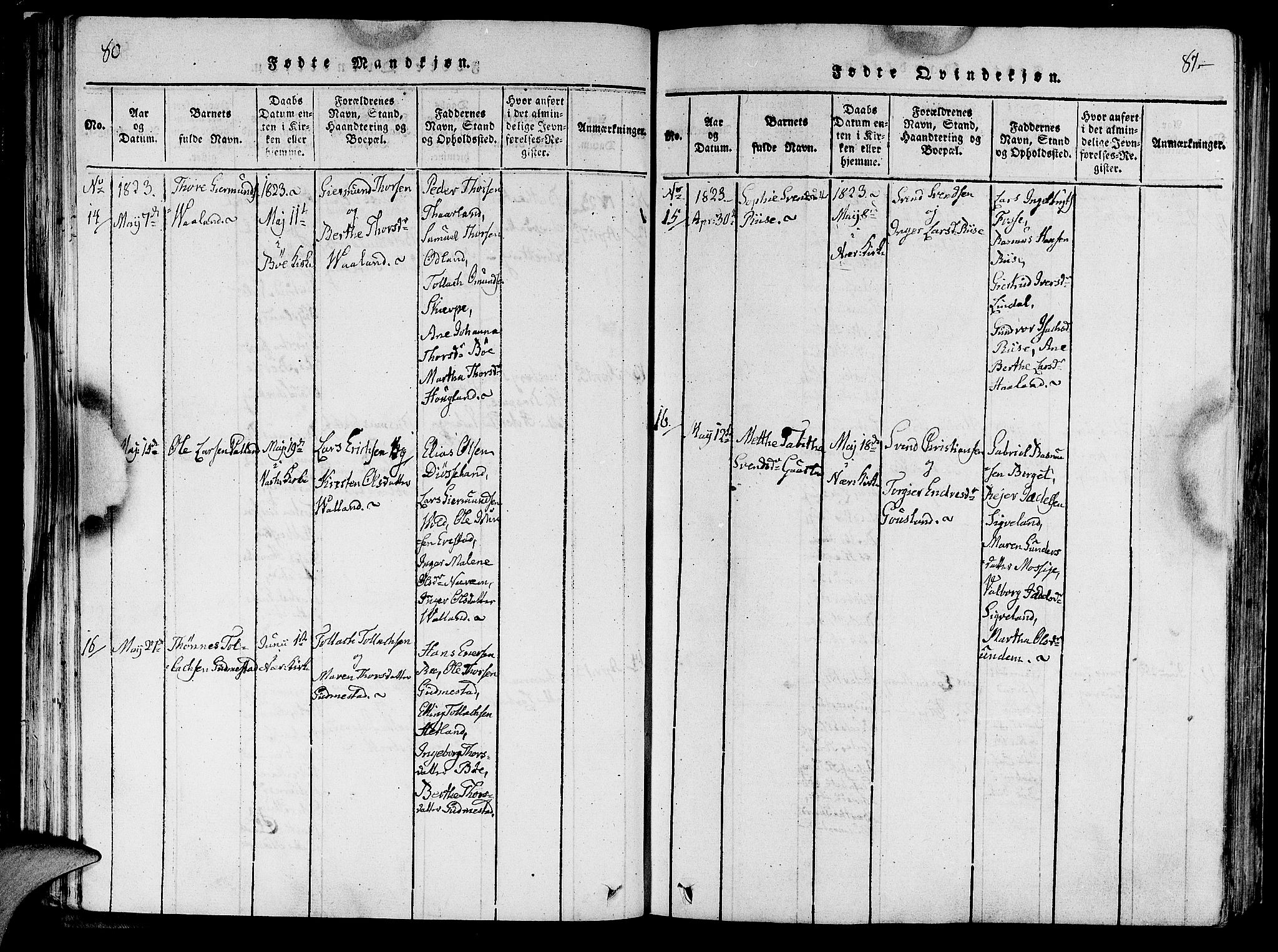 Hå sokneprestkontor, AV/SAST-A-101801/001/30BA/L0003: Parish register (official) no. A 3, 1815-1825, p. 80-81