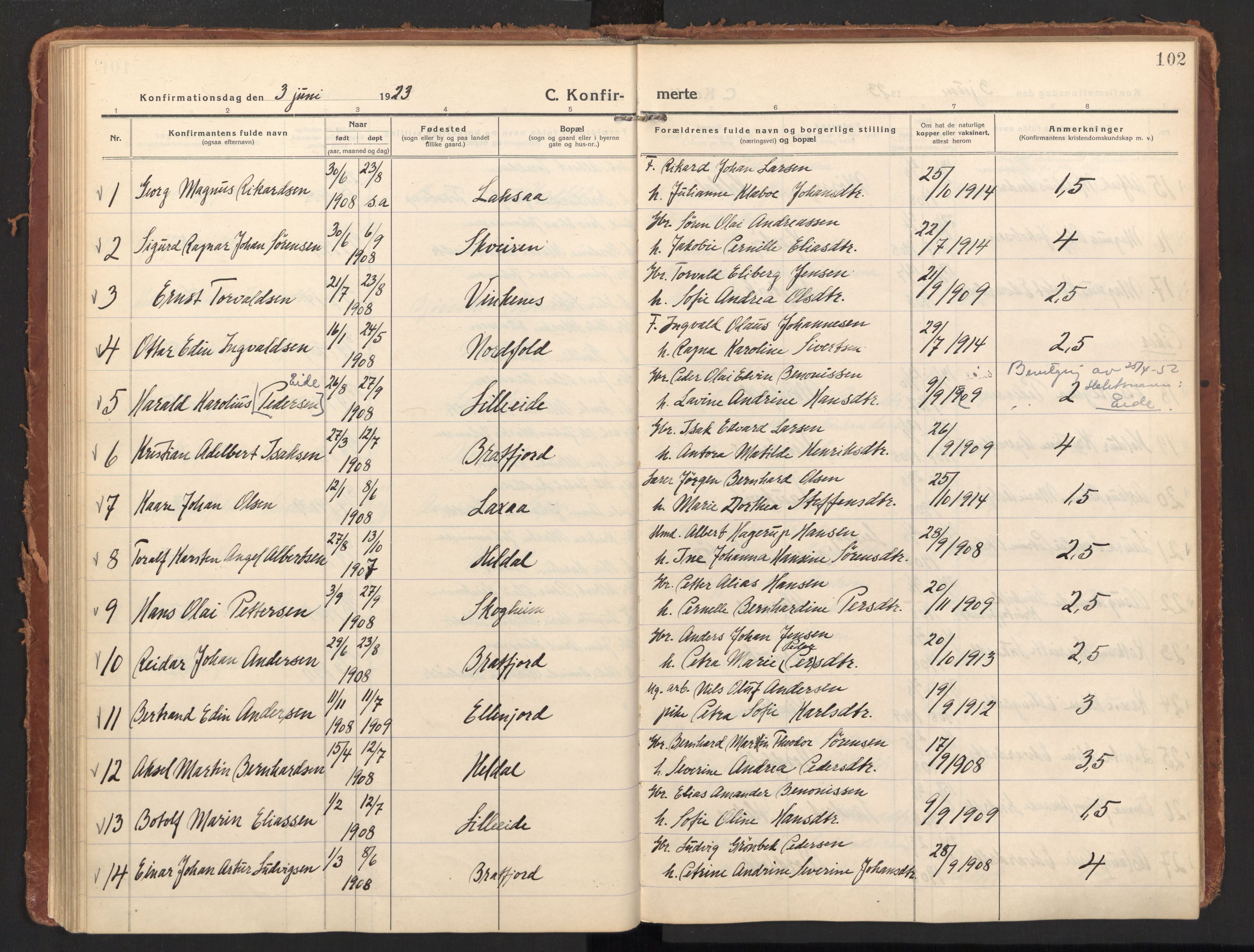 Ministerialprotokoller, klokkerbøker og fødselsregistre - Nordland, AV/SAT-A-1459/858/L0833: Parish register (official) no. 858A03, 1916-1934, p. 102