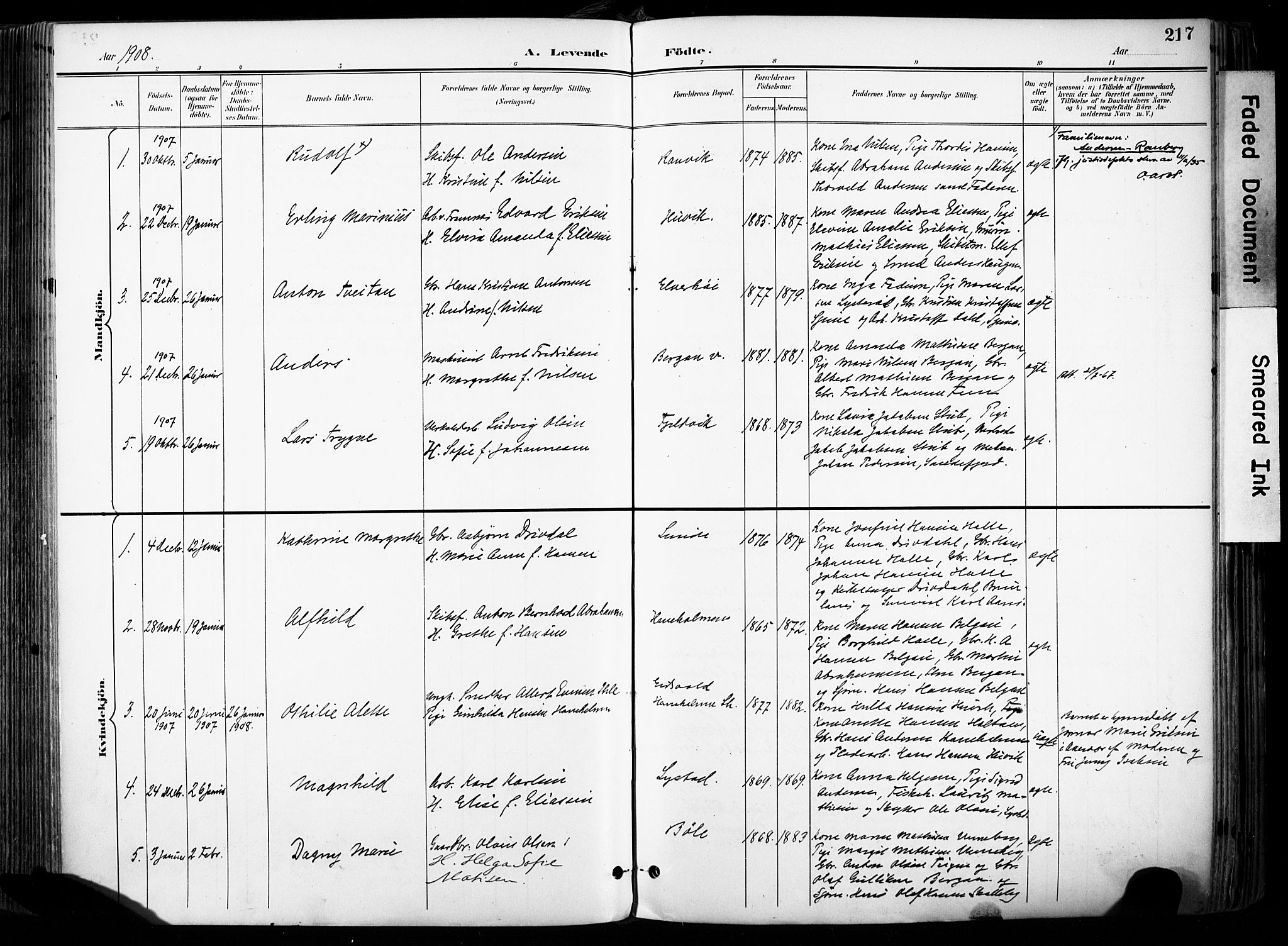 Sandar kirkebøker, SAKO/A-243/F/Fa/L0014: Parish register (official) no. 14, 1896-1909, p. 217