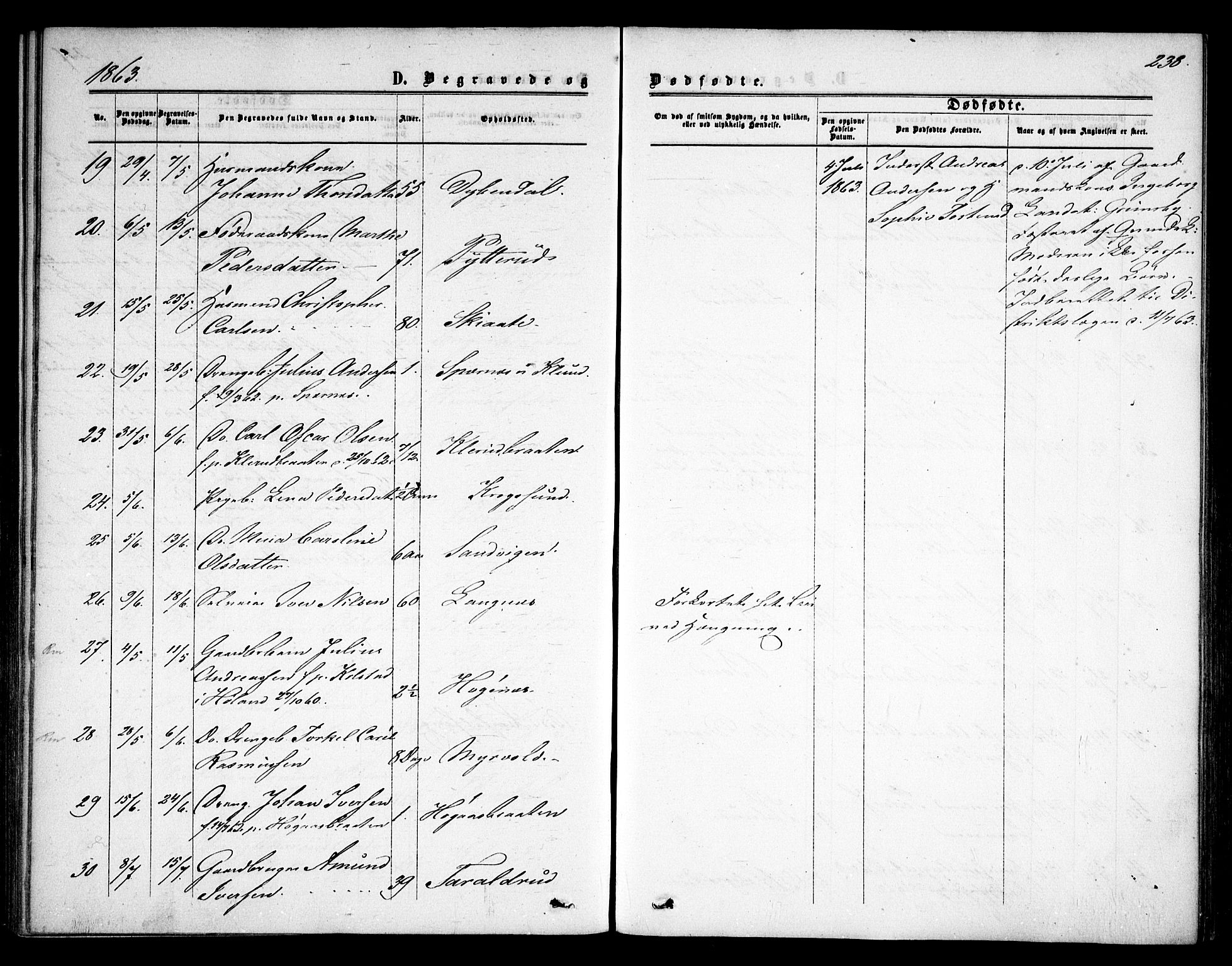 Rødenes prestekontor Kirkebøker, AV/SAO-A-2005/F/Fa/L0007: Parish register (official) no. I 7, 1860-1869, p. 238