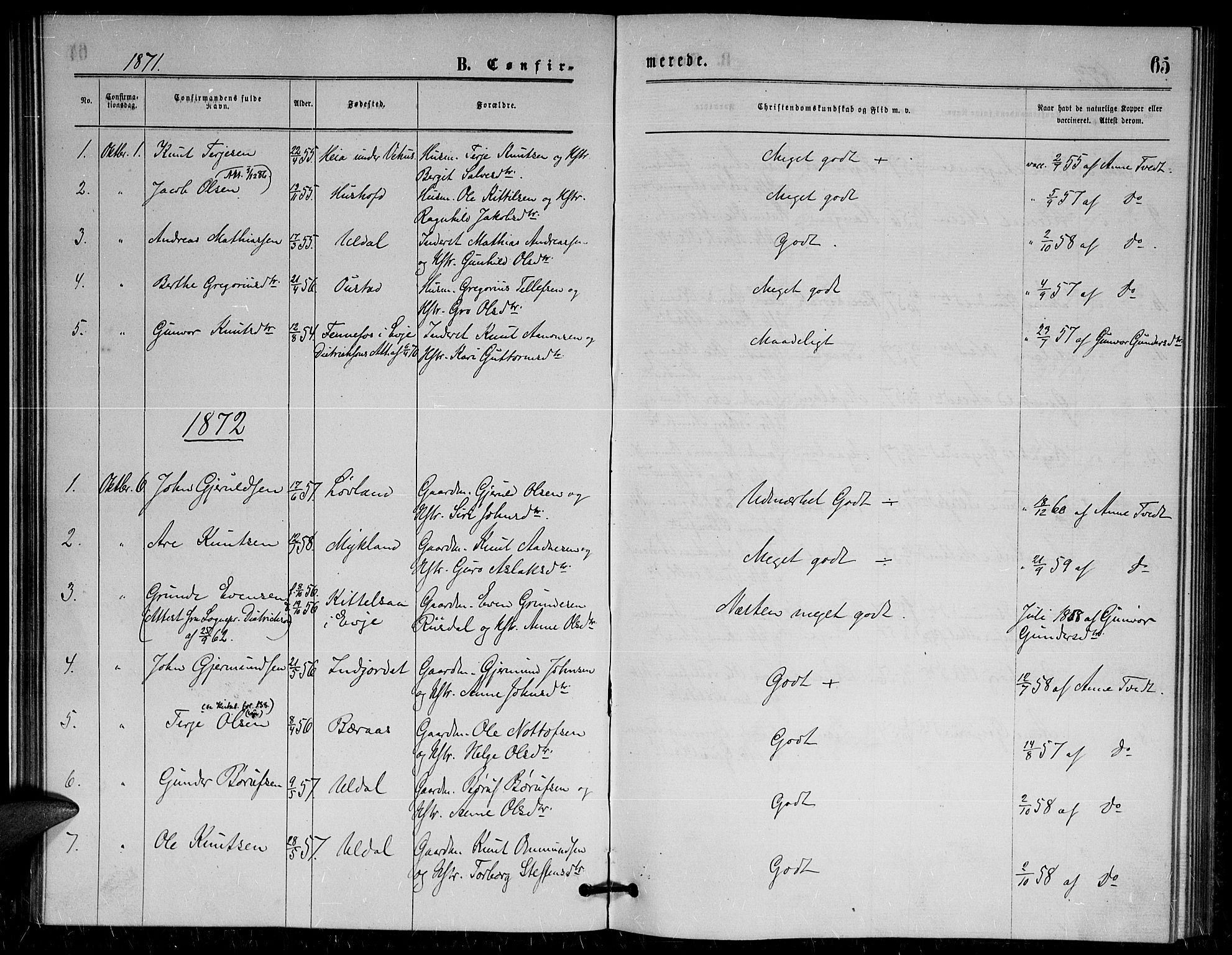 Herefoss sokneprestkontor, AV/SAK-1111-0019/F/Fa/Fac/L0001: Parish register (official) no. A 1, 1871-1886, p. 65