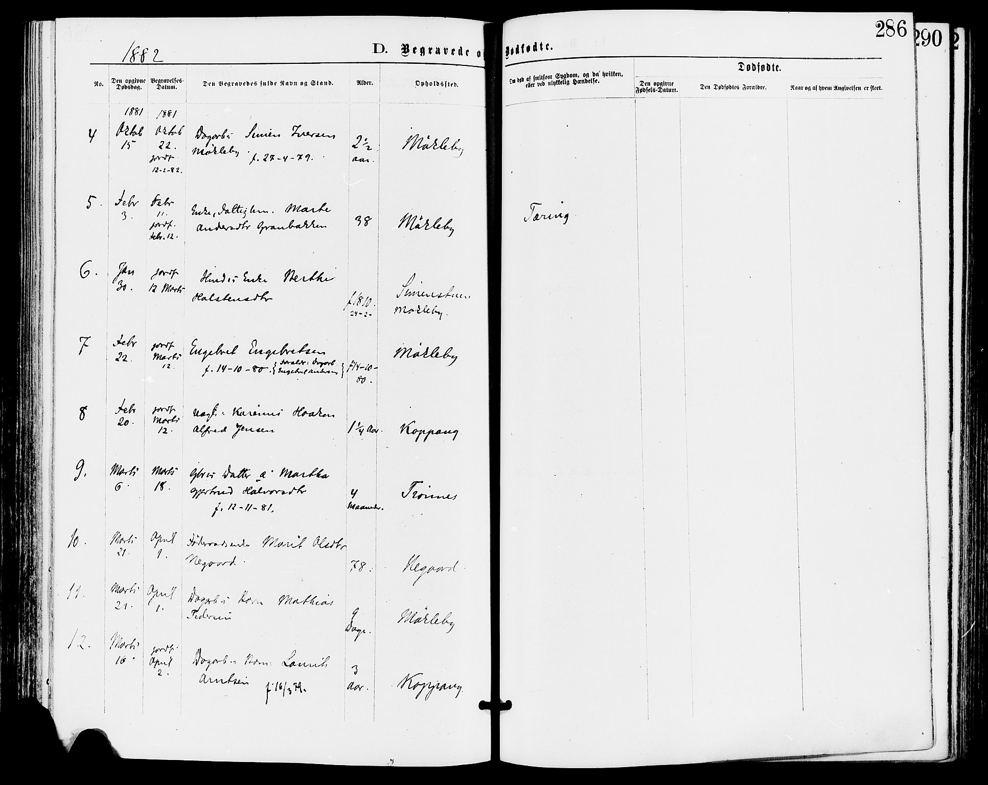 Stor-Elvdal prestekontor, SAH/PREST-052/H/Ha/Haa/L0001: Parish register (official) no. 1, 1871-1882, p. 286