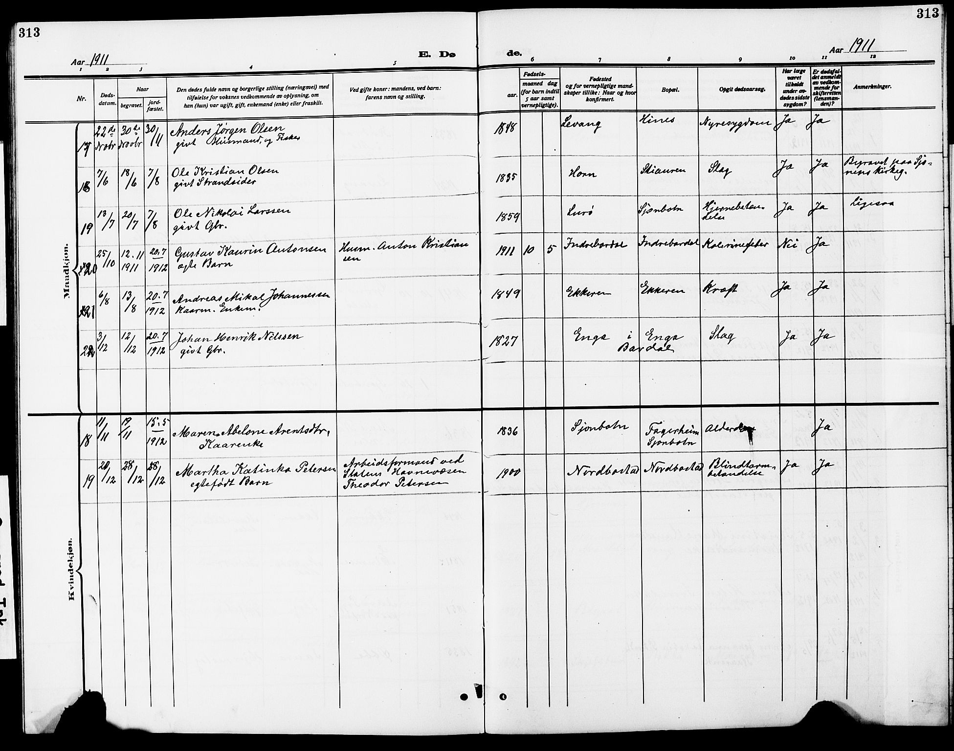 Ministerialprotokoller, klokkerbøker og fødselsregistre - Nordland, AV/SAT-A-1459/838/L0560: Parish register (copy) no. 838C07, 1910-1928, p. 313