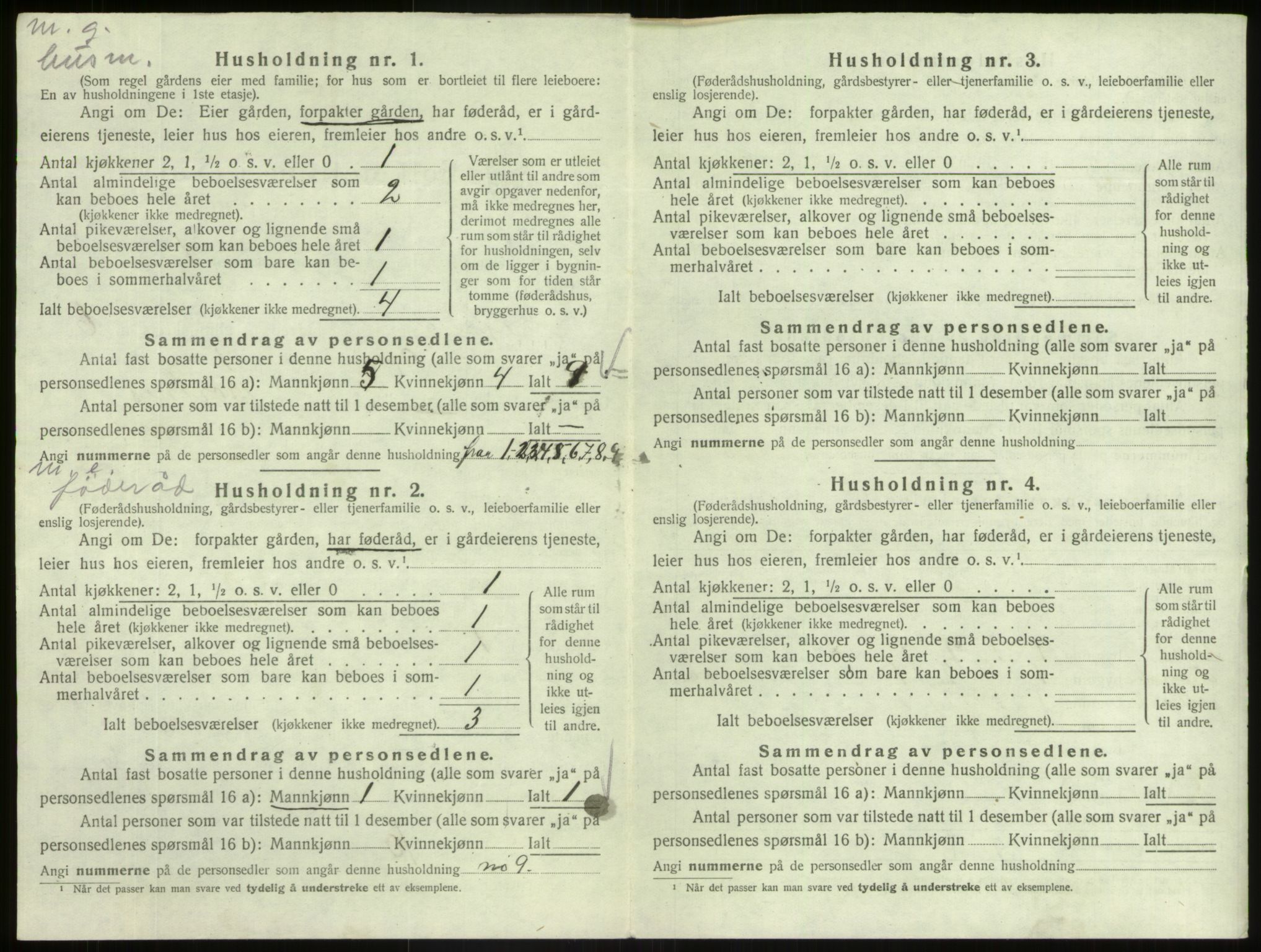 SAB, 1920 census for Hafslo, 1920, p. 678