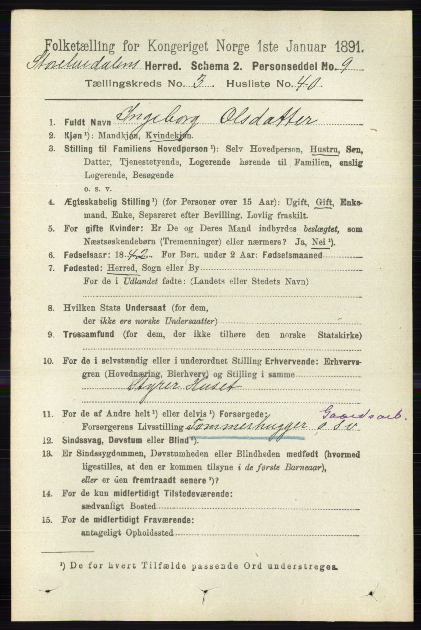 RA, 1891 census for 0430 Stor-Elvdal, 1891, p. 1123
