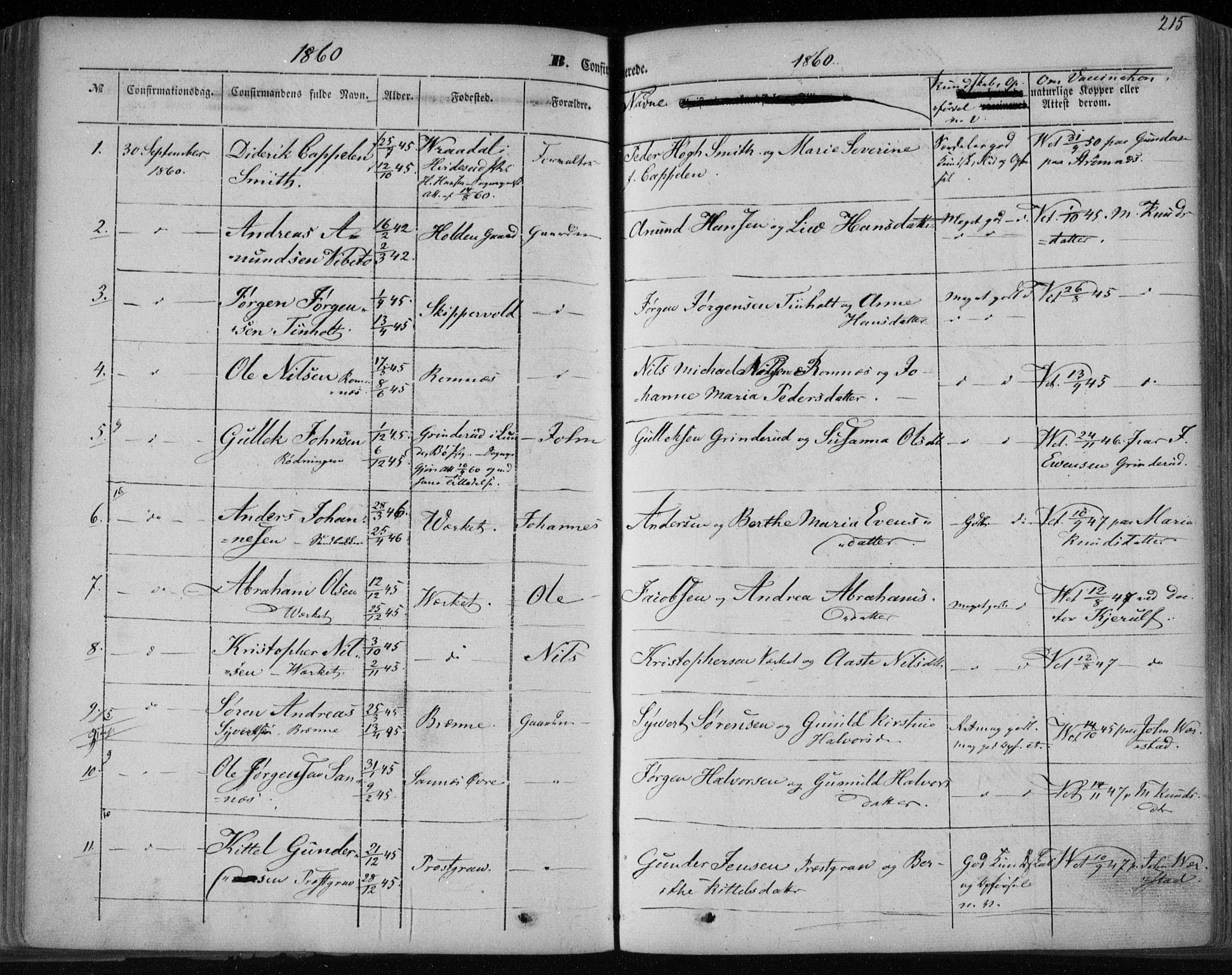 Holla kirkebøker, SAKO/A-272/F/Fa/L0005: Parish register (official) no. 5, 1849-1860, p. 215