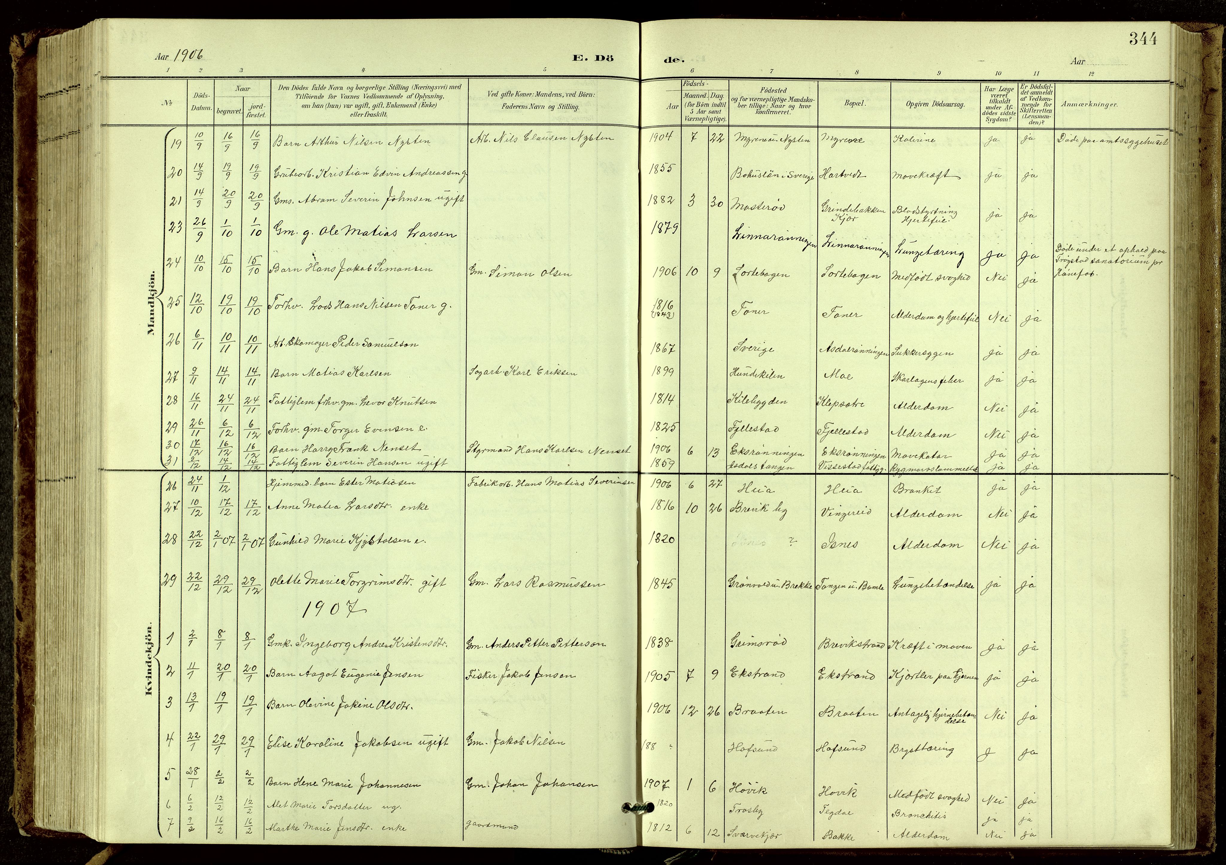 Bamble kirkebøker, SAKO/A-253/G/Ga/L0010: Parish register (copy) no. I 10, 1901-1919, p. 344