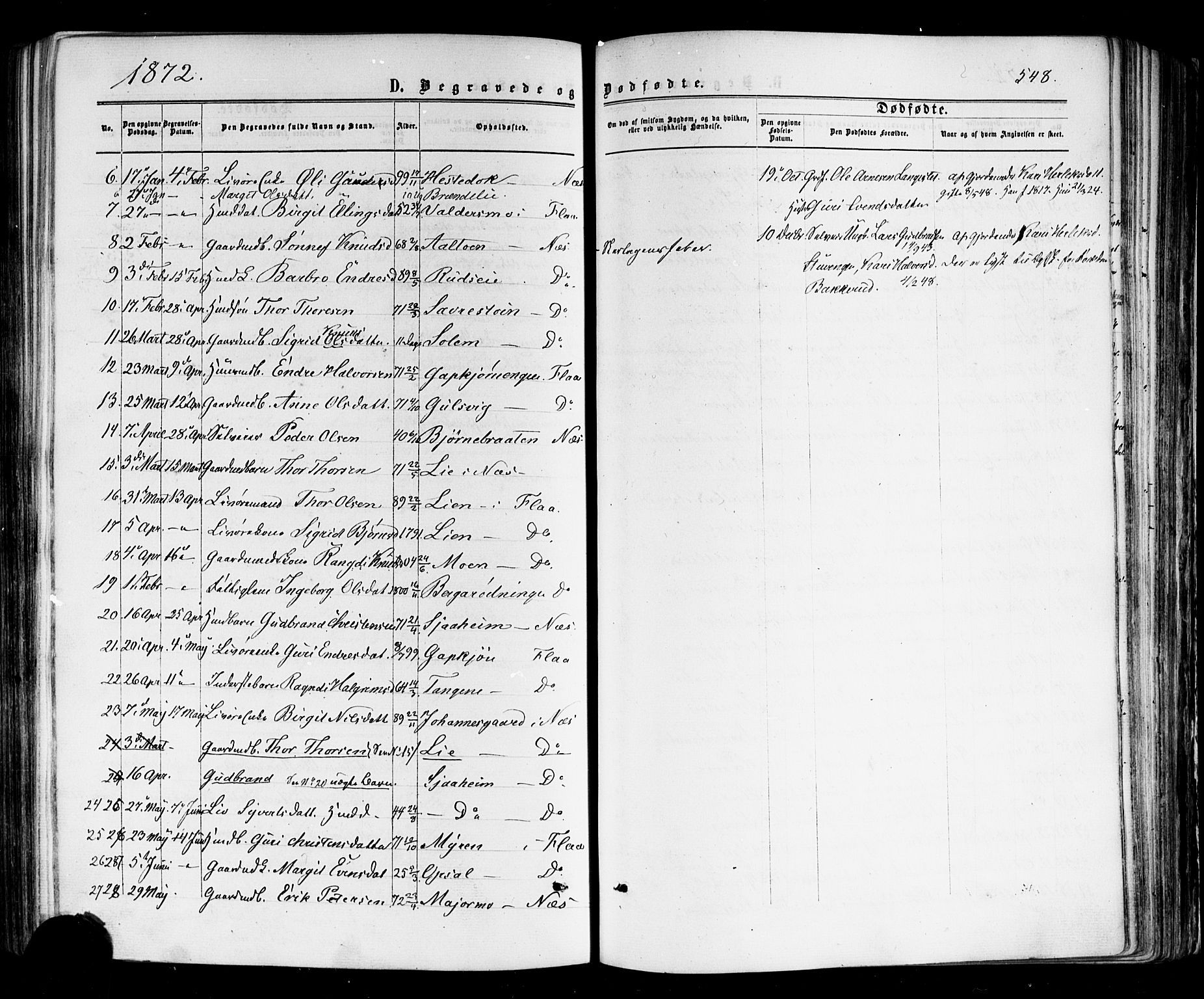 Nes kirkebøker, AV/SAKO-A-236/F/Fa/L0010: Parish register (official) no. 10, 1864-1880, p. 548