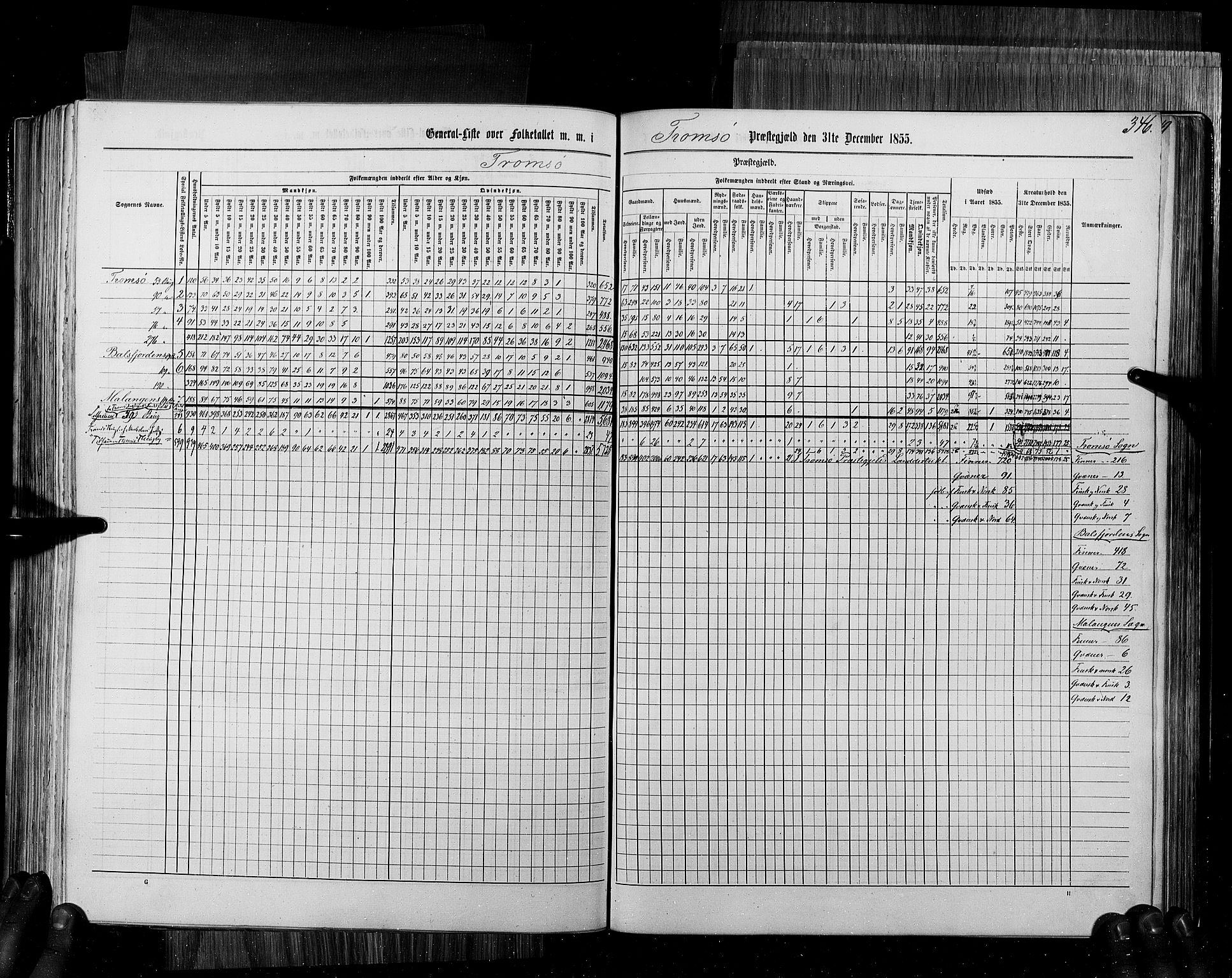 RA, Census 1855, vol. 6B: Nordland amt og Finnmarken amt, 1855, p. 346