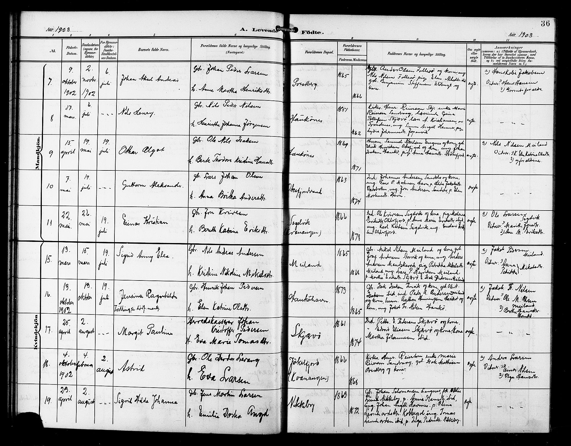 Skjervøy sokneprestkontor, AV/SATØ-S-1300/H/Ha/Hab/L0008klokker: Parish register (copy) no. 8, 1900-1910, p. 36