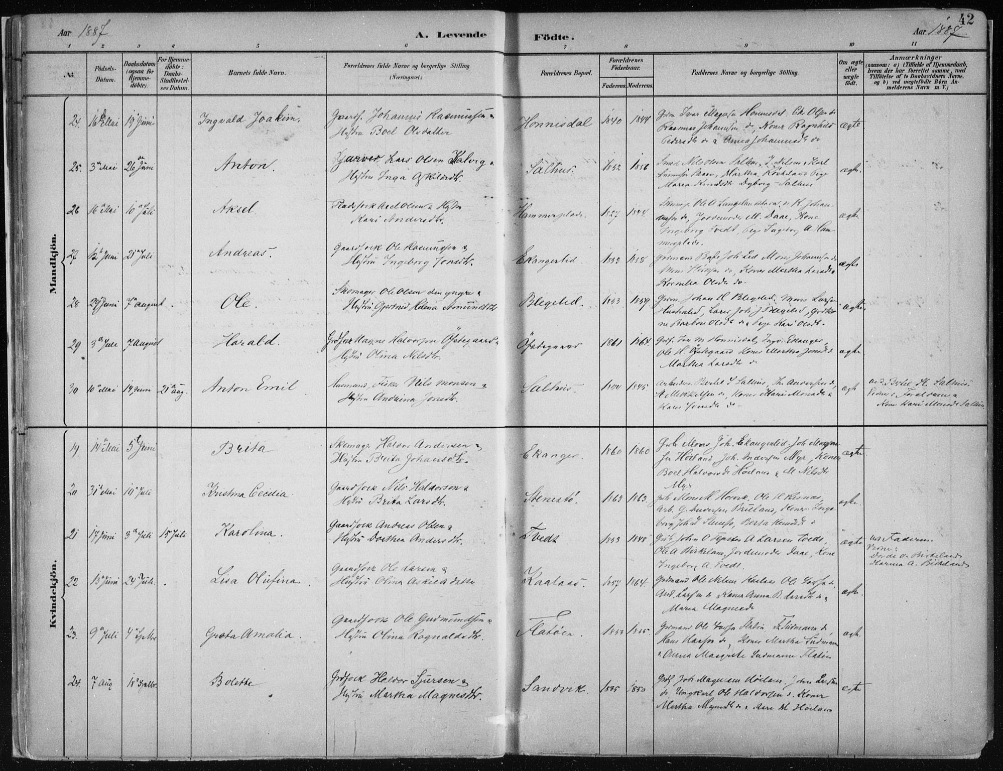 Hamre sokneprestembete, AV/SAB-A-75501/H/Ha/Haa/Haab/L0001: Parish register (official) no. B  1, 1882-1905, p. 42