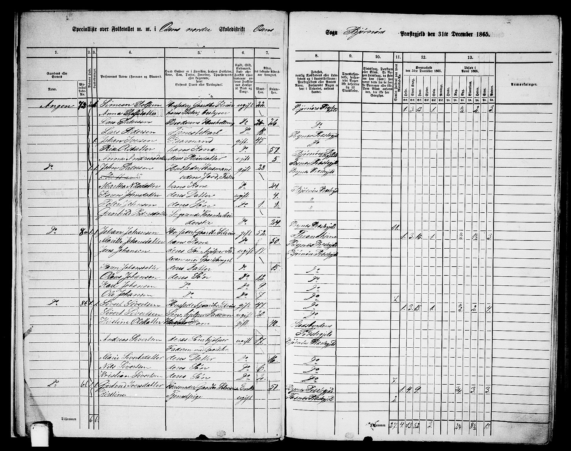 RA, 1865 census for Bjørnør, 1865, p. 11