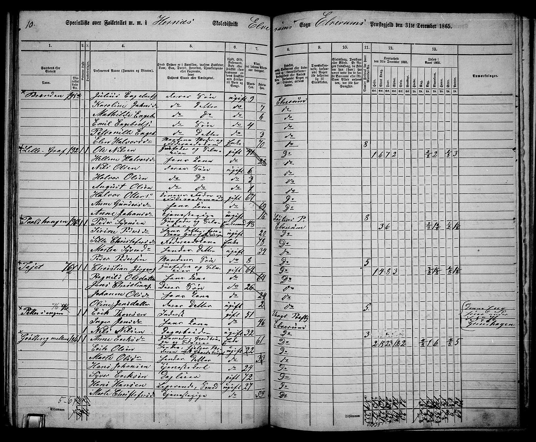 RA, 1865 census for Elverum, 1865, p. 163