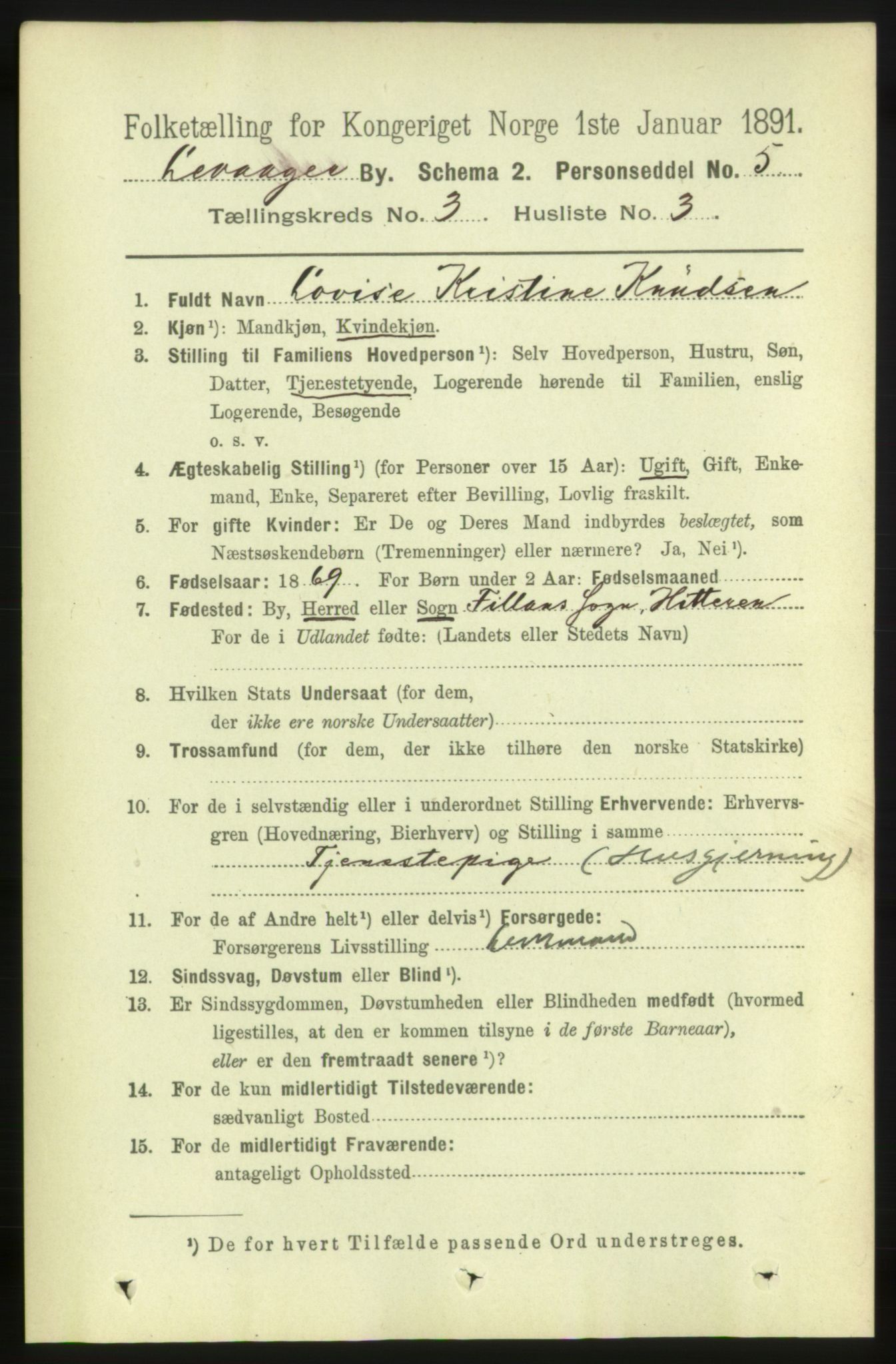 RA, 1891 census for 1701 Levanger, 1891, p. 969