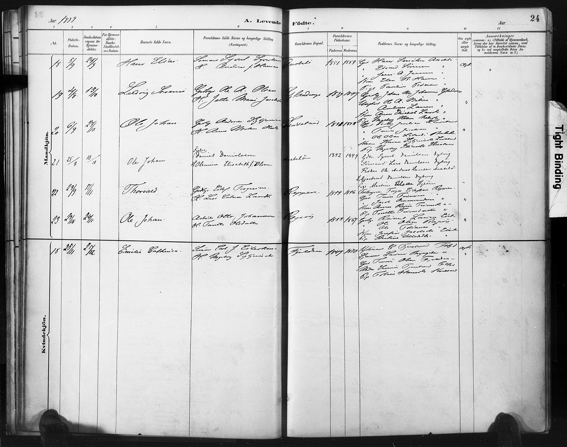Flekkefjord sokneprestkontor, SAK/1111-0012/F/Fa/Fac/L0008: Parish register (official) no. A 8, 1885-1898, p. 24