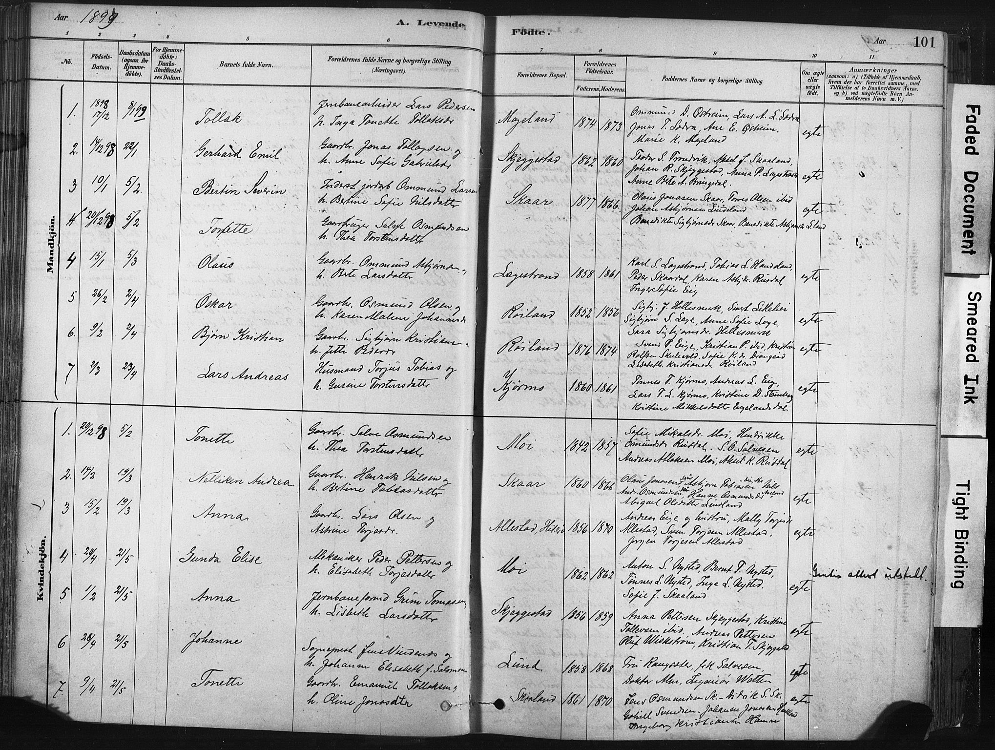 Lund sokneprestkontor, AV/SAST-A-101809/S06/L0011: Parish register (official) no. A 10, 1877-1904, p. 101