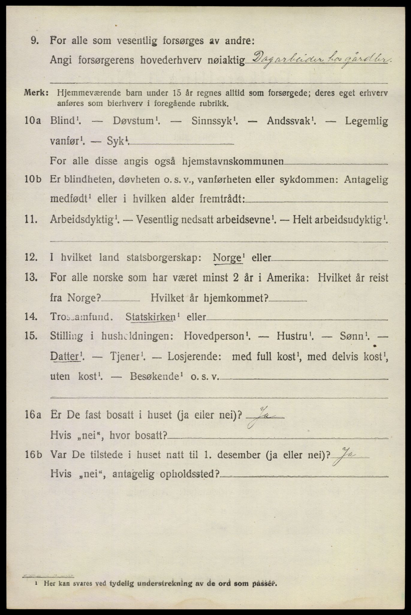 SAKO, 1920 census for Våle, 1920, p. 2293