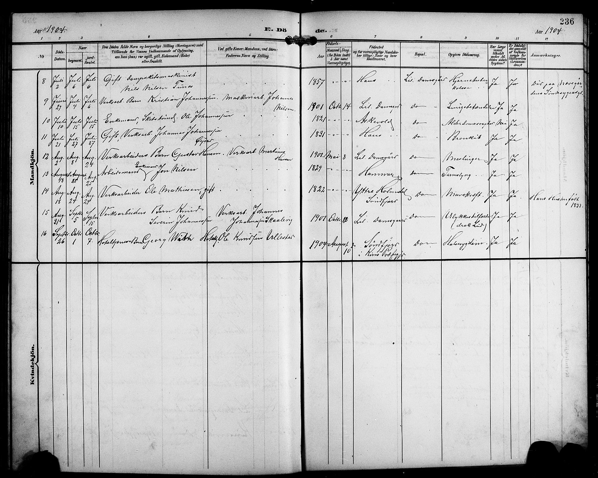 Laksevåg Sokneprestembete, SAB/A-76501/H/Ha/Hab/Haba/L0004: Parish register (copy) no. A 4, 1899-1909, p. 236