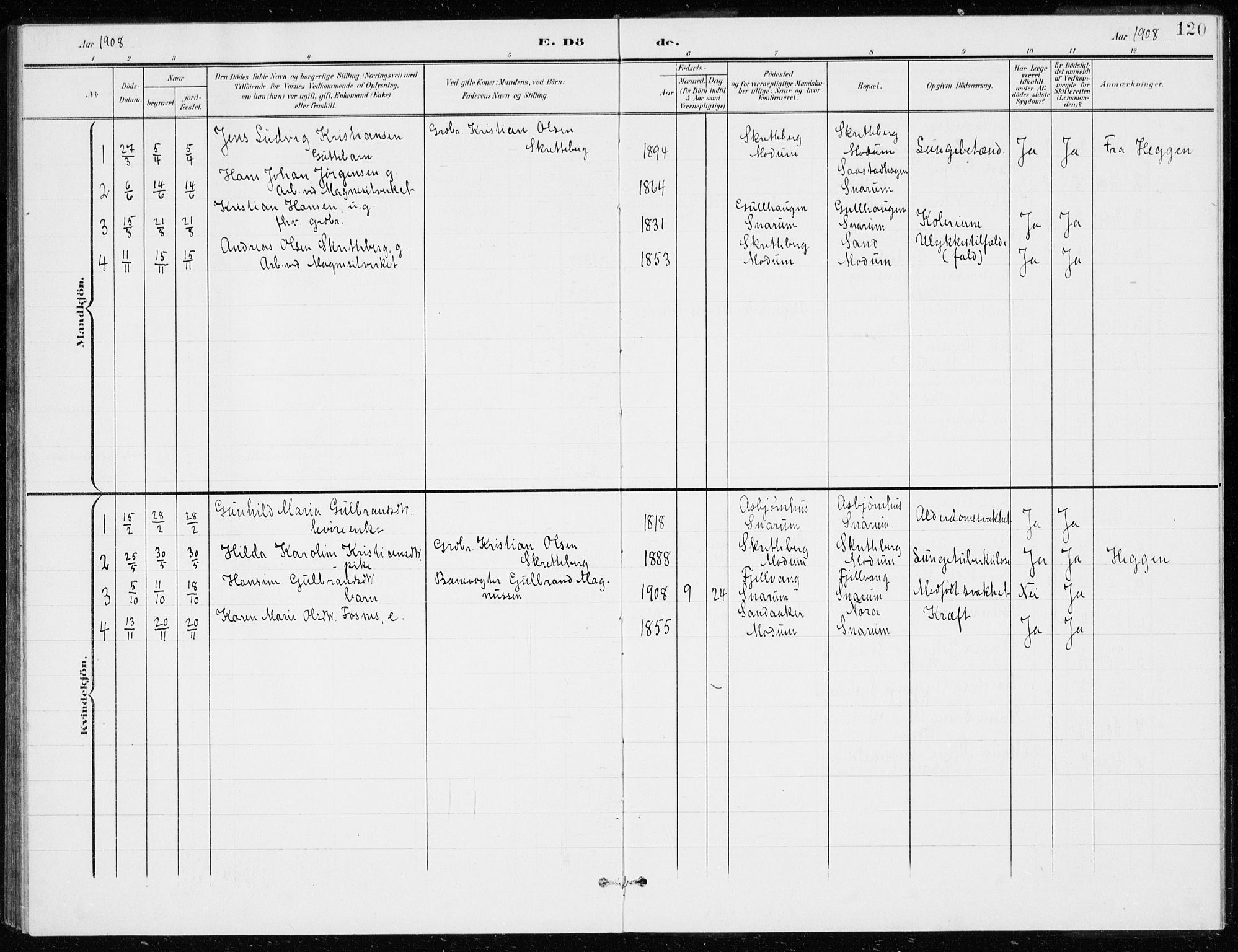 Modum kirkebøker, AV/SAKO-A-234/G/Gd/L0001: Parish register (copy) no. IV 1, 1901-1921, p. 120