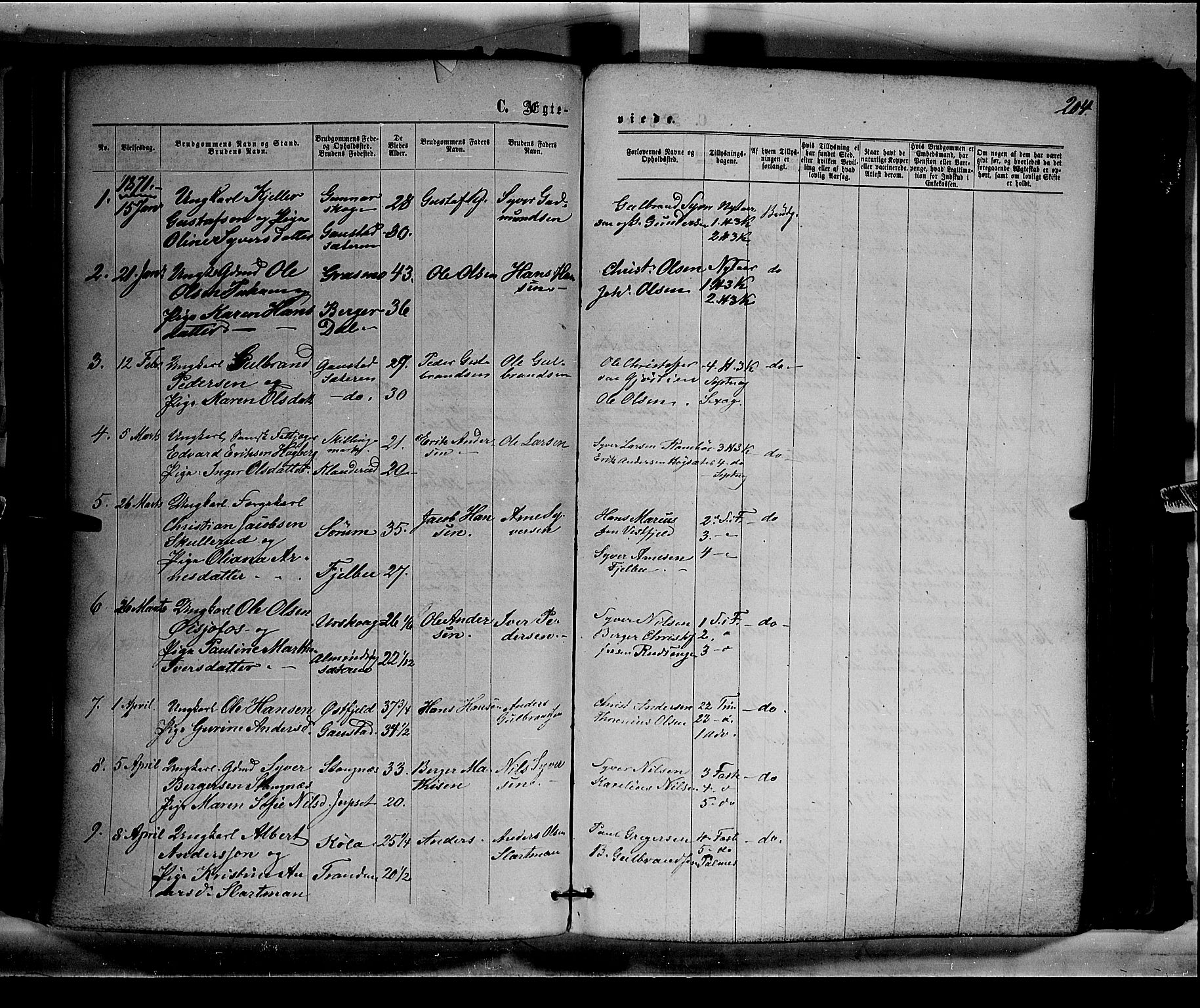 Eidskog prestekontor, AV/SAH-PREST-026/H/Ha/Haa/L0002: Parish register (official) no. 2, 1867-1878, p. 204