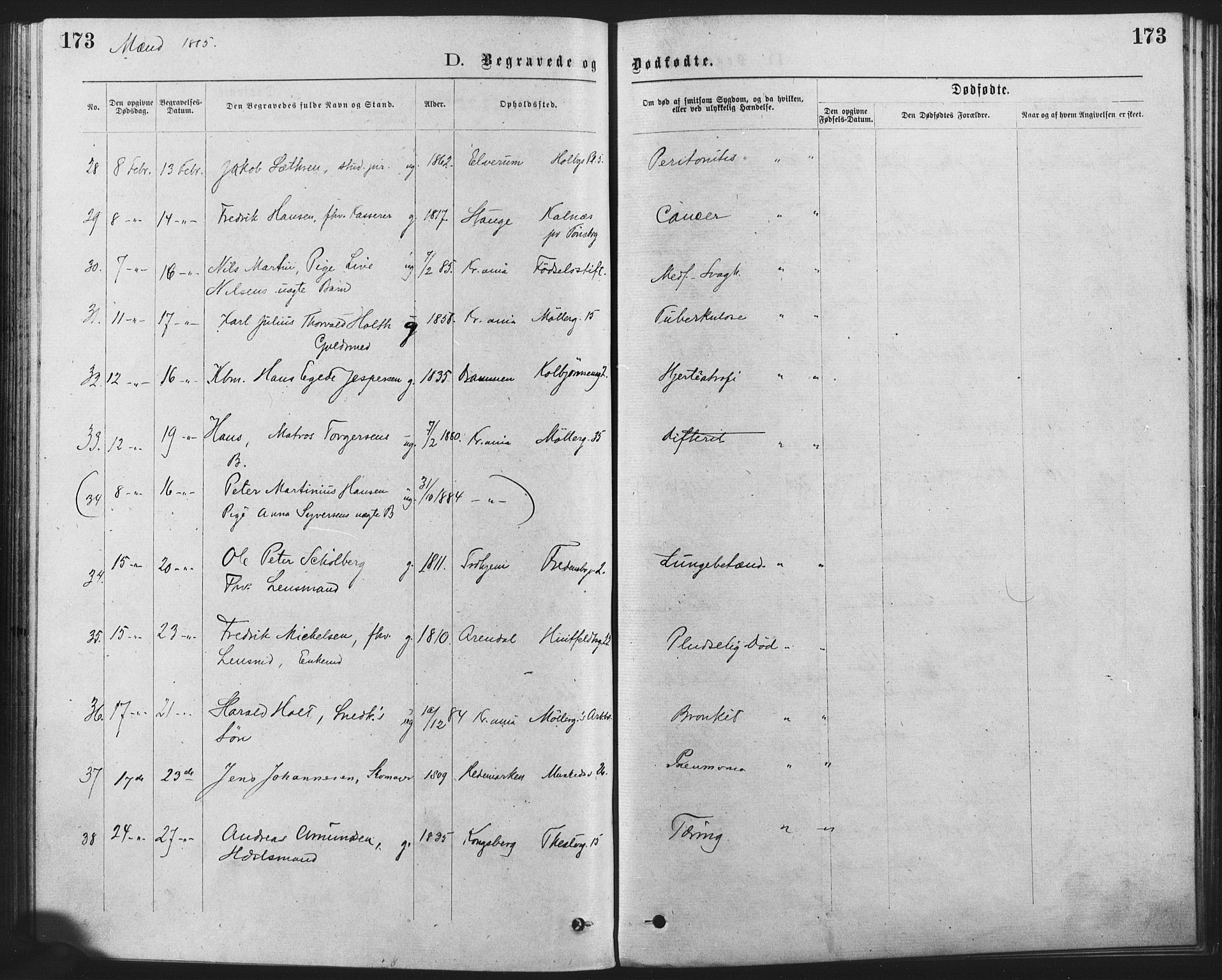 Trefoldighet prestekontor Kirkebøker, AV/SAO-A-10882/F/Fd/L0002: Parish register (official) no. IV 2, 1877-1885, p. 173