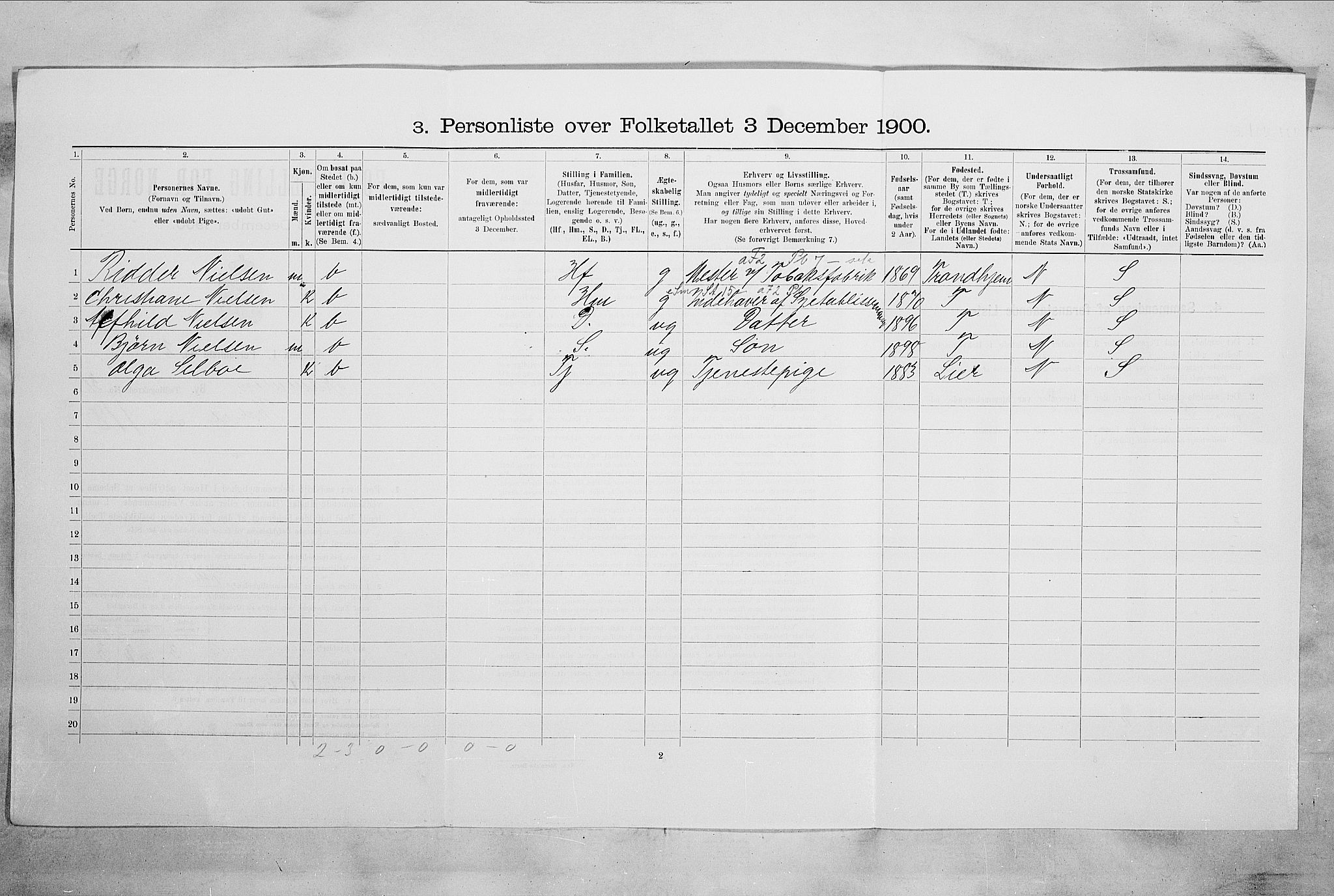 RA, 1900 census for Drammen, 1900, p. 4556