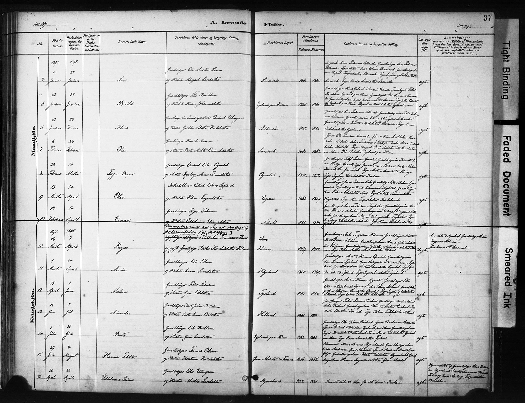 Helleland sokneprestkontor, AV/SAST-A-101810: Parish register (official) no. A 9, 1887-1908, p. 37