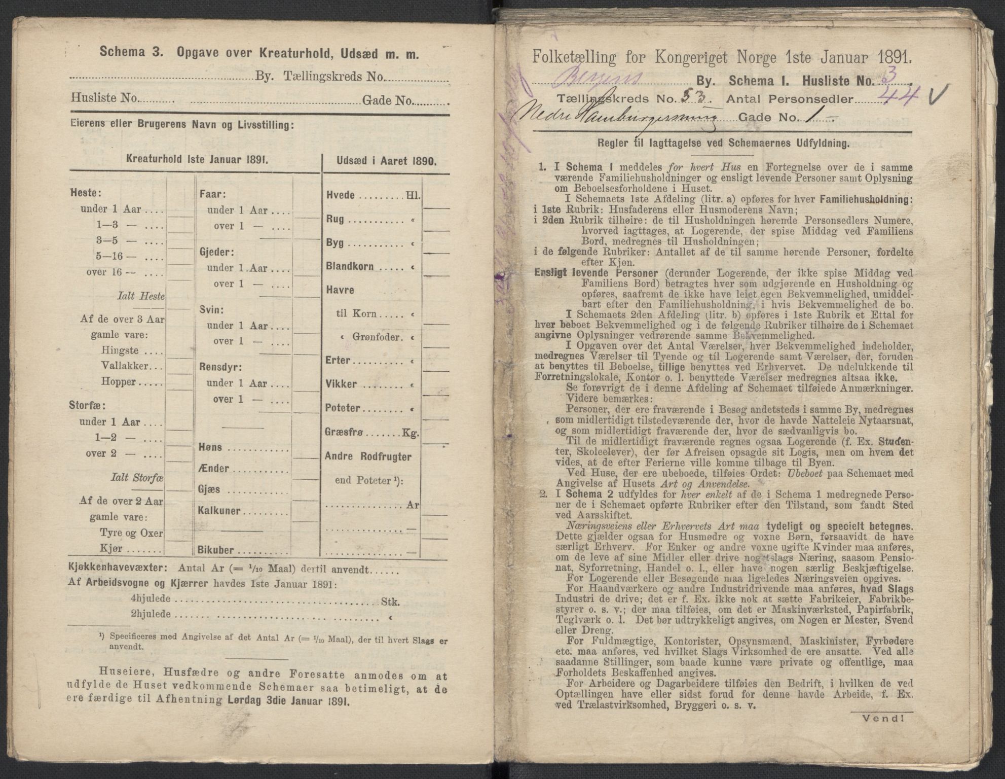 RA, 1891 Census for 1301 Bergen, 1891, p. 8573